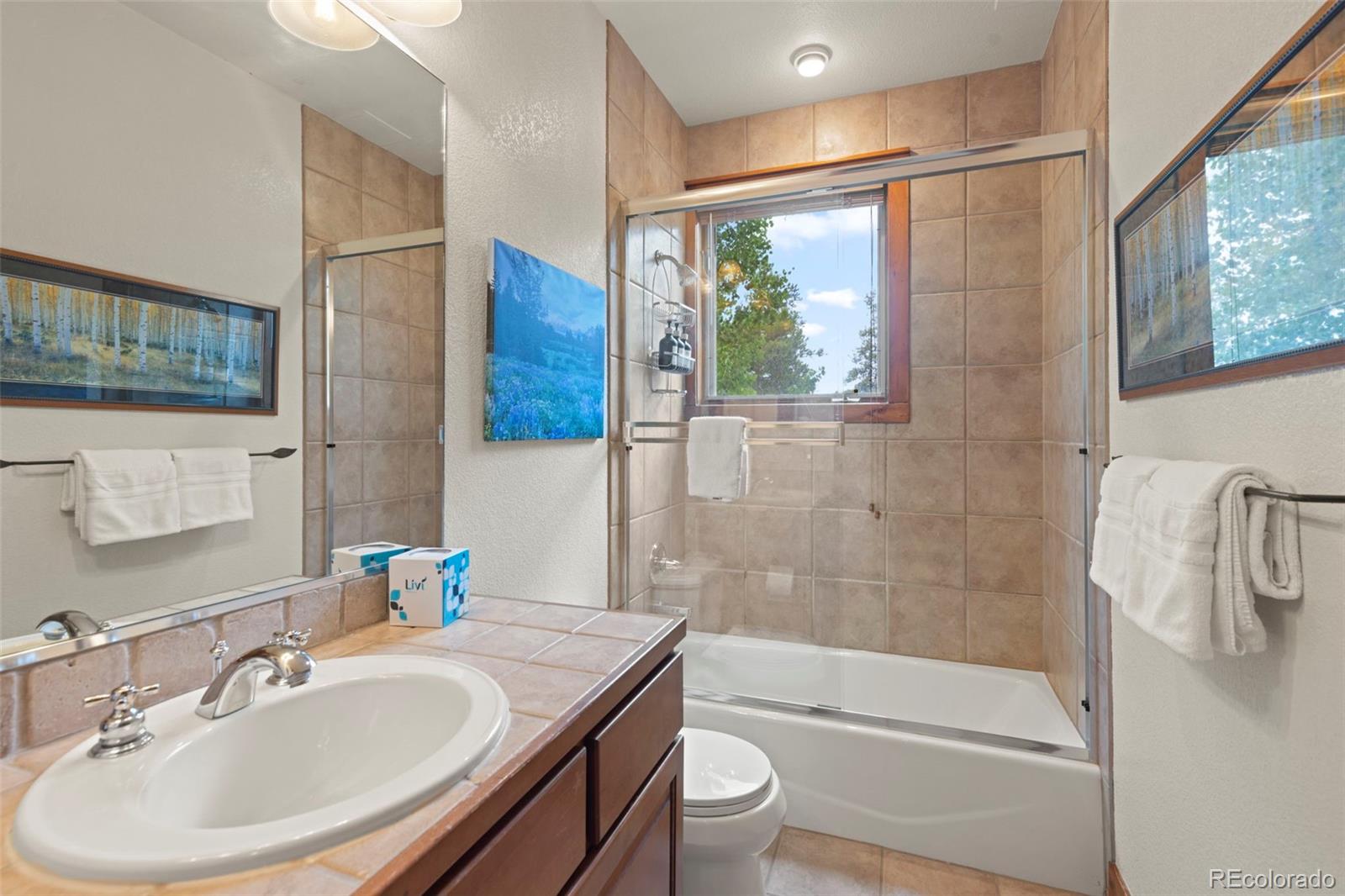 MLS Image #19 for 48  bluff court,breckenridge, Colorado