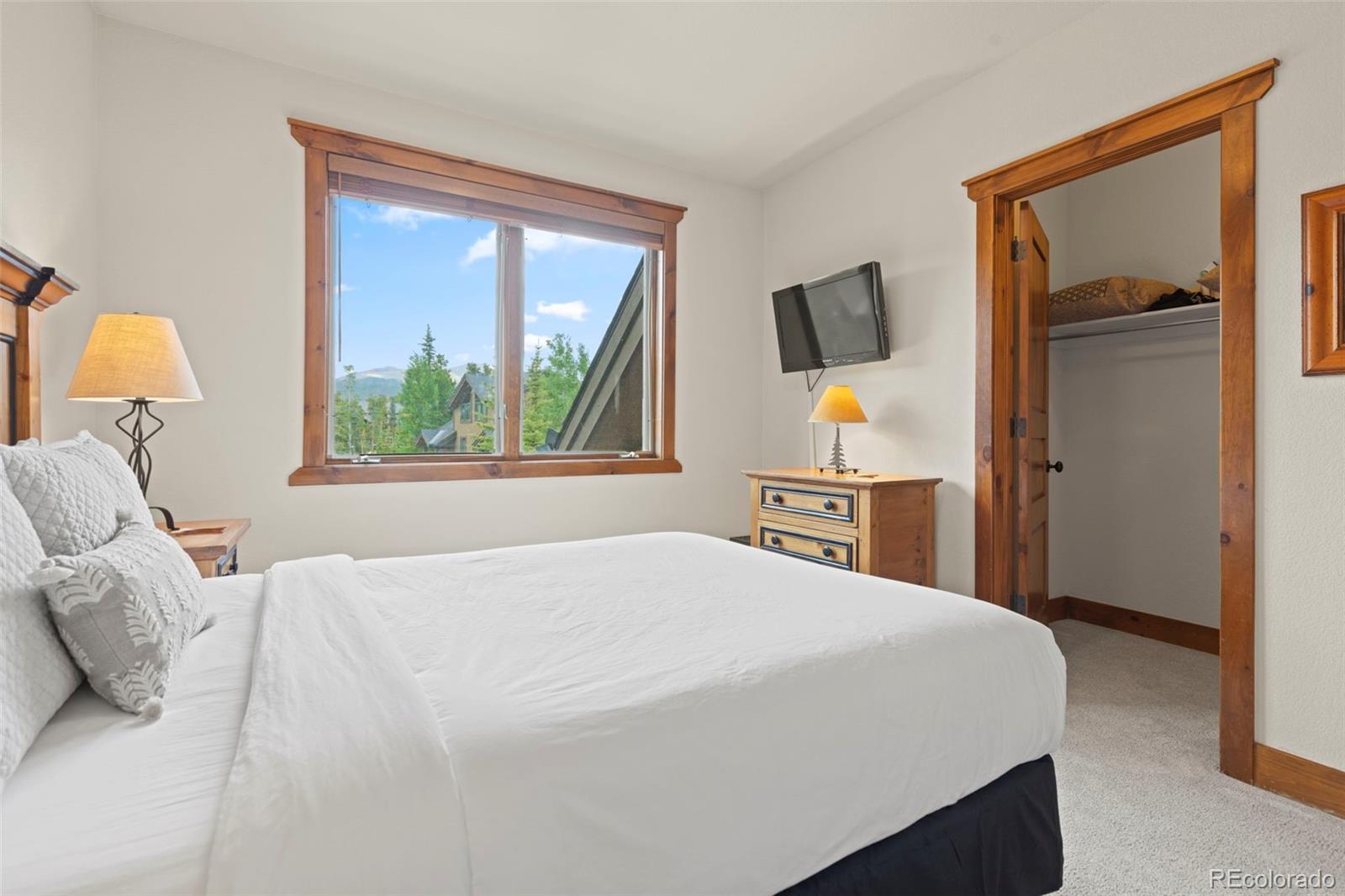 MLS Image #21 for 48  bluff court,breckenridge, Colorado