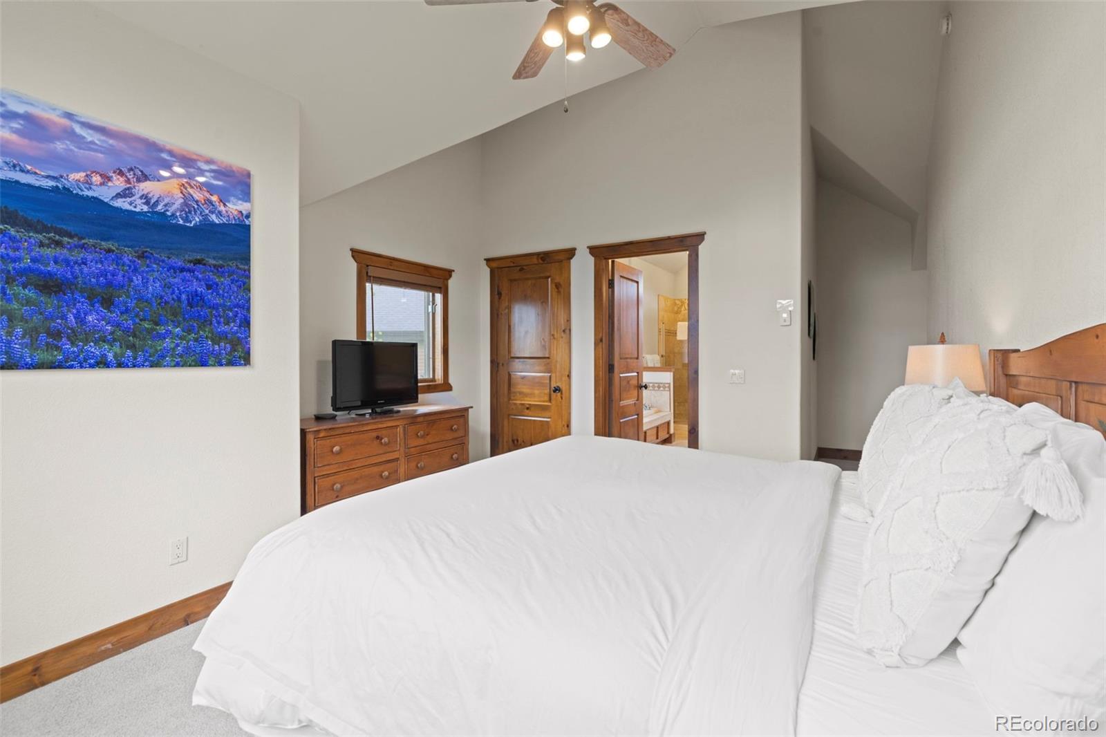 MLS Image #26 for 48  bluff court,breckenridge, Colorado