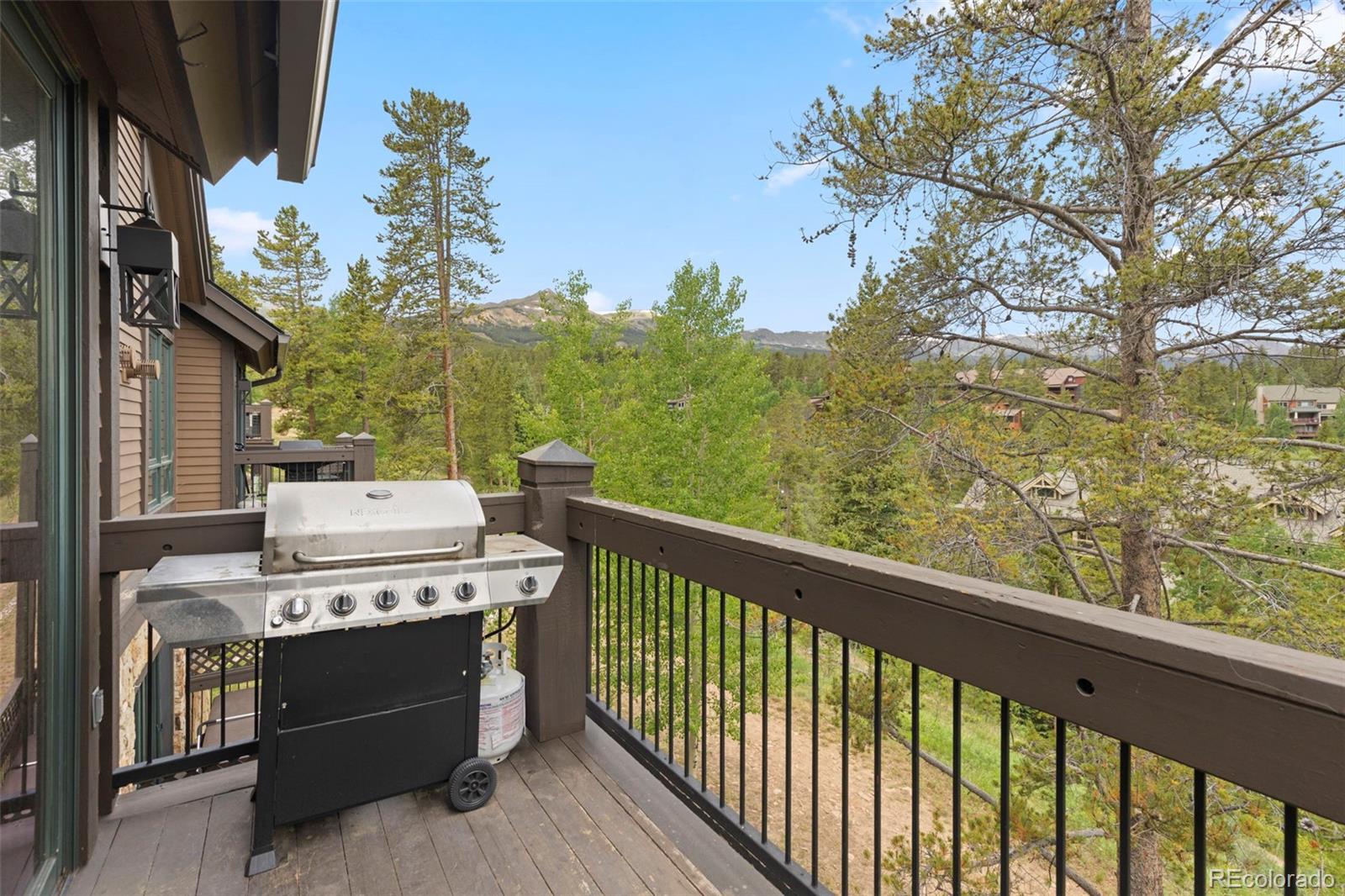 MLS Image #3 for 48  bluff court,breckenridge, Colorado