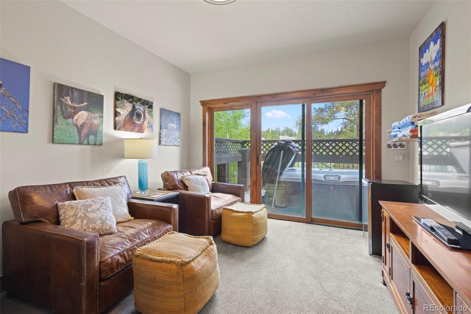 MLS Image #34 for 48  bluff court,breckenridge, Colorado