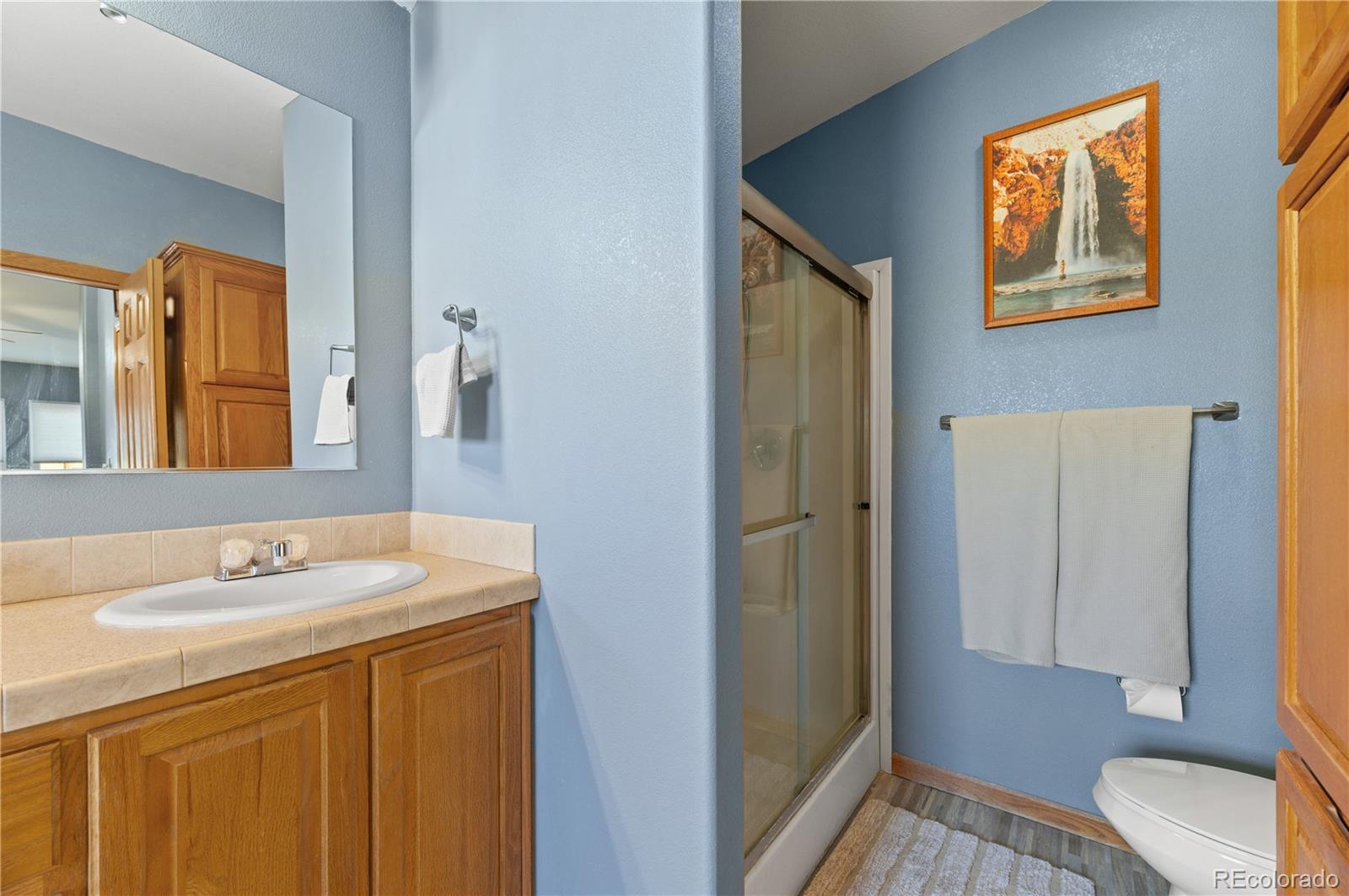 MLS Image #29 for 23225  county road 125 ,simla, Colorado