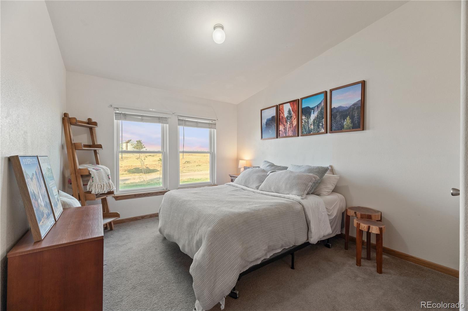 MLS Image #30 for 23225  county road 125 ,simla, Colorado