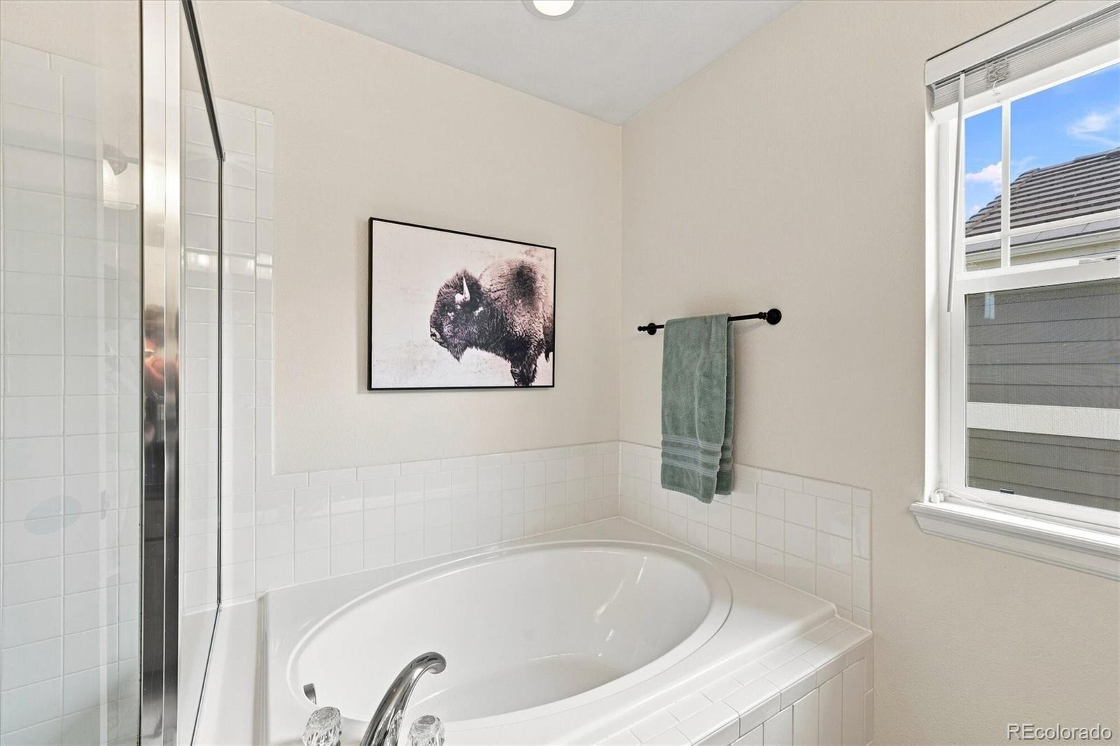 MLS Image #24 for 12830  ventana street,parker, Colorado