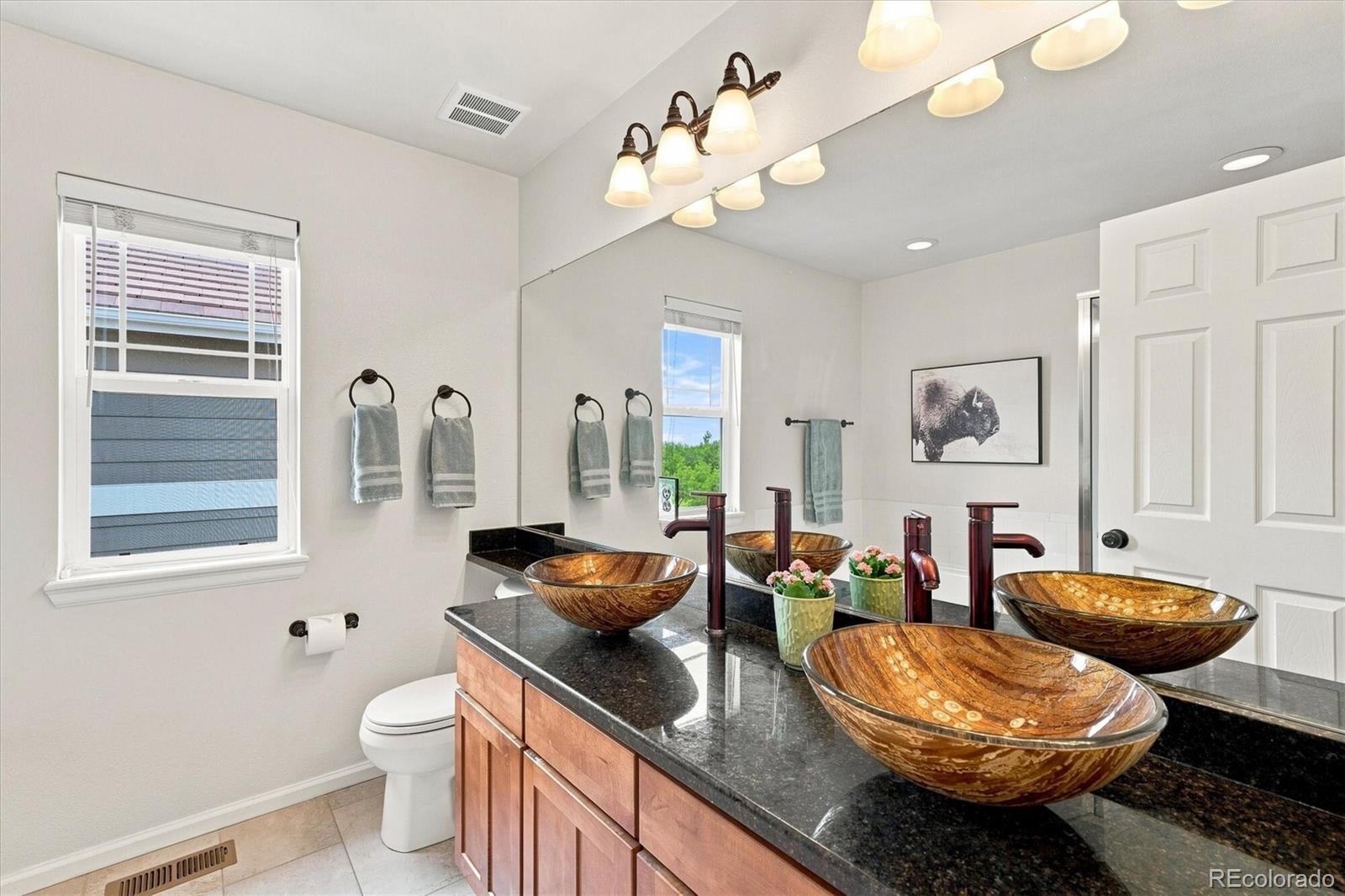 MLS Image #6 for 12830  ventana street,parker, Colorado