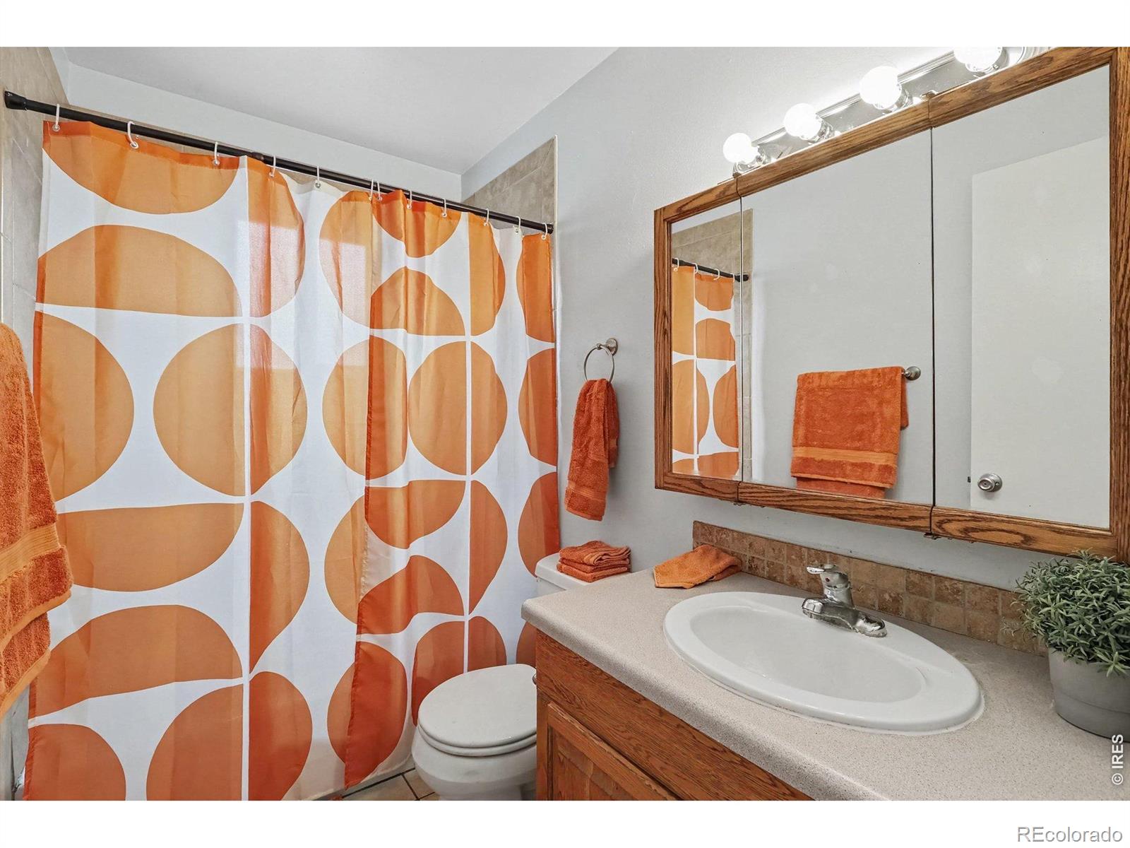 MLS Image #14 for 607 n bryan avenue,fort collins, Colorado