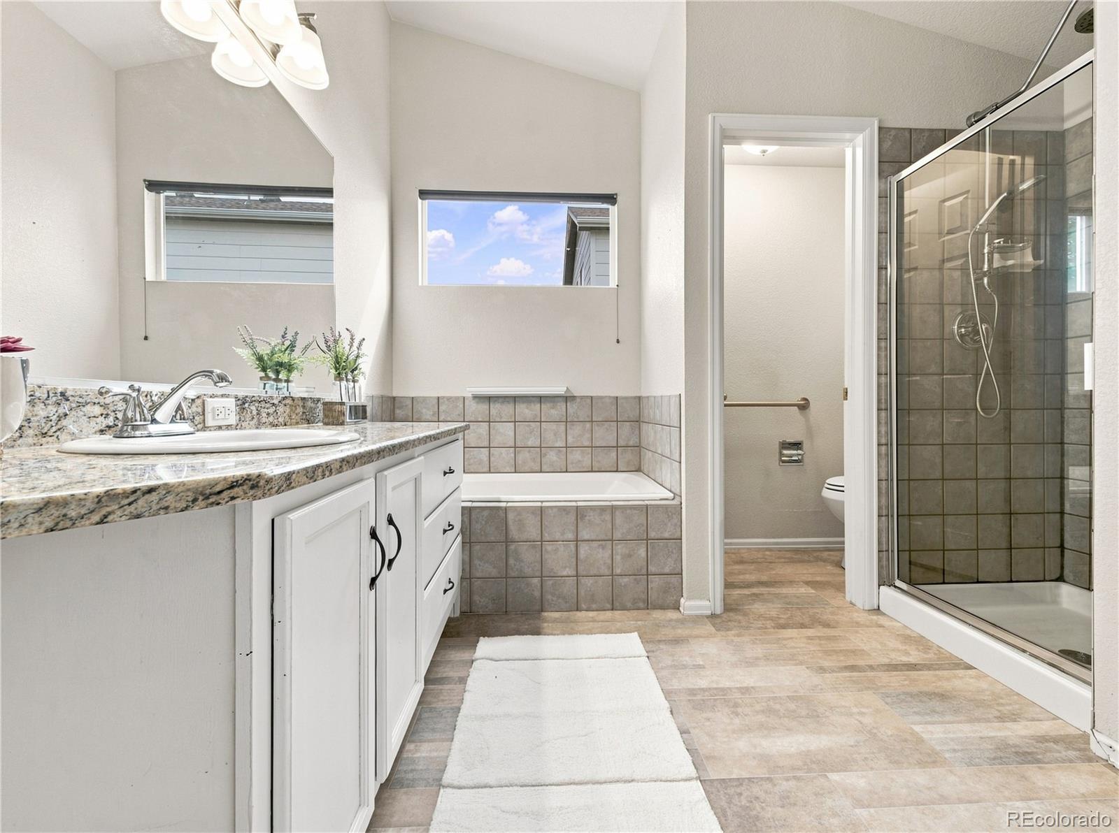 MLS Image #19 for 12614  prince creek drive,parker, Colorado