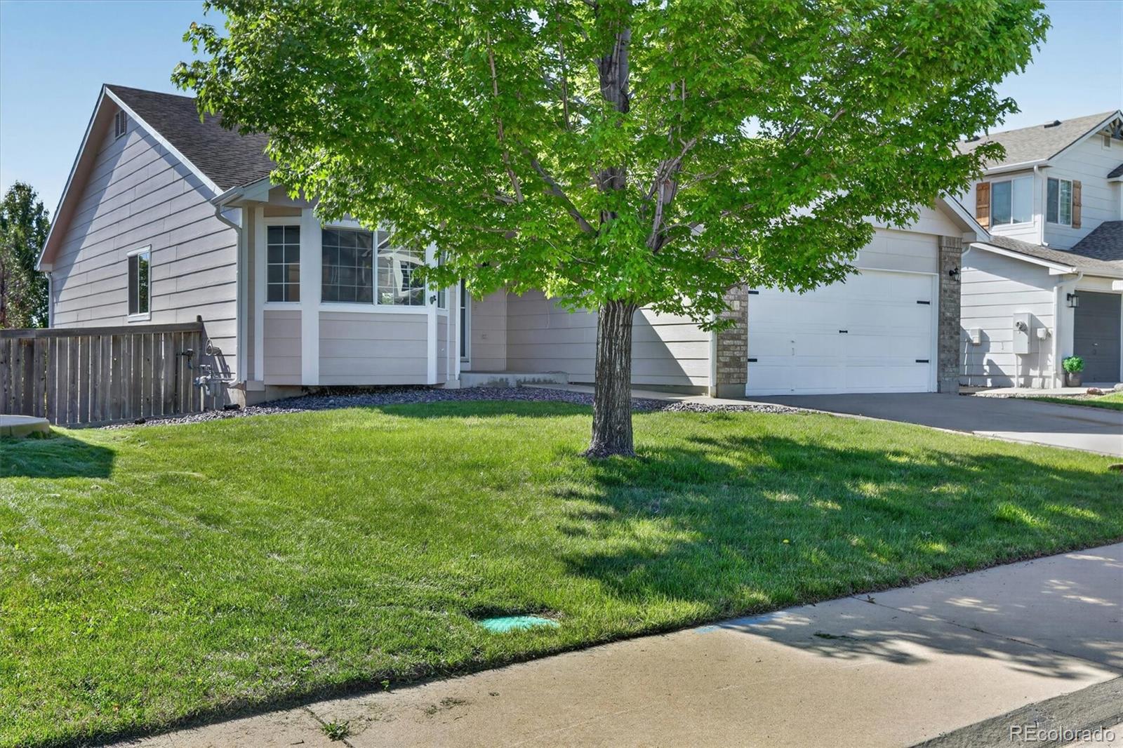 MLS Image #4 for 12614  prince creek drive,parker, Colorado