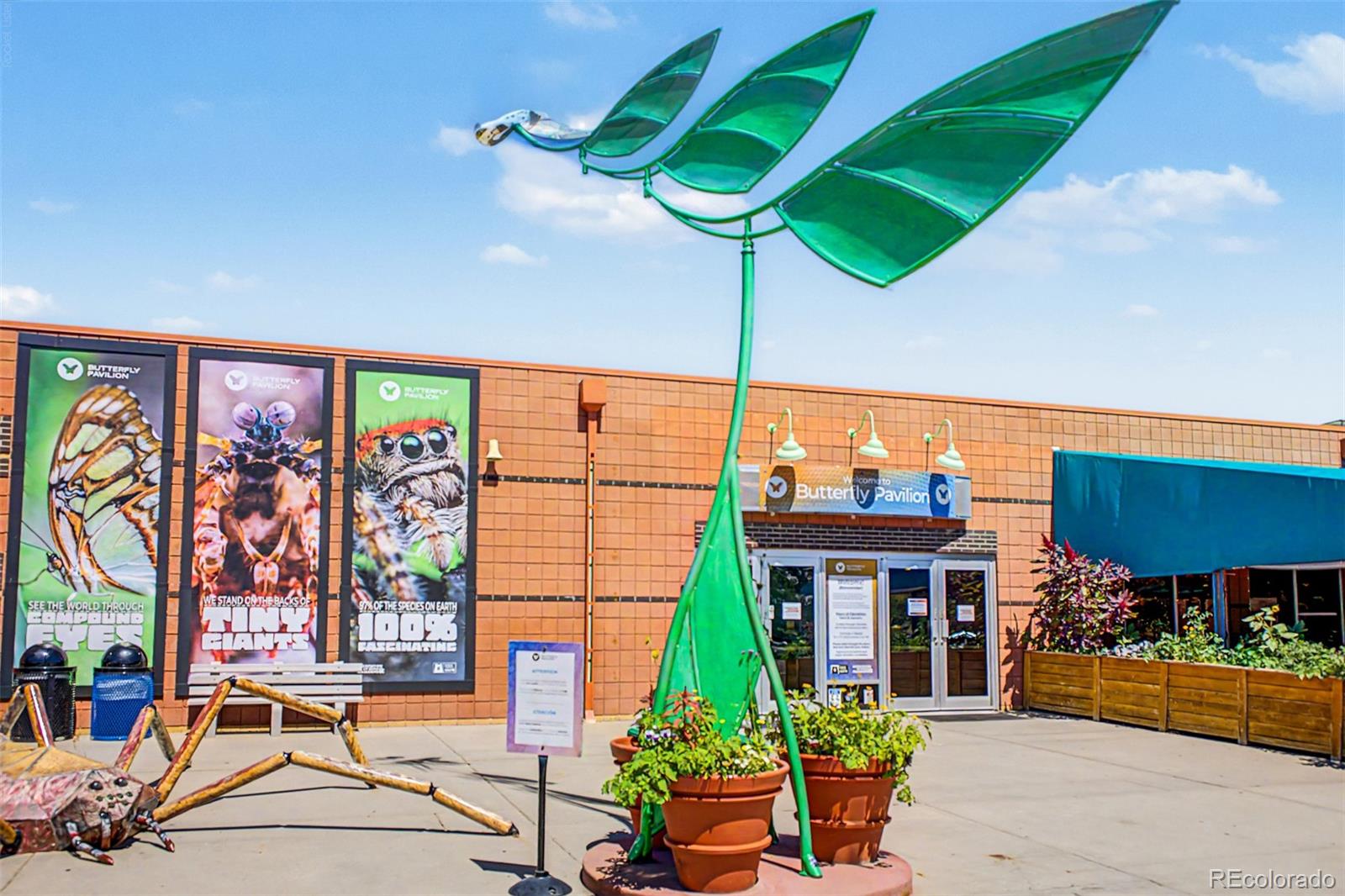 MLS Image #45 for 11133  vrain street,westminster, Colorado