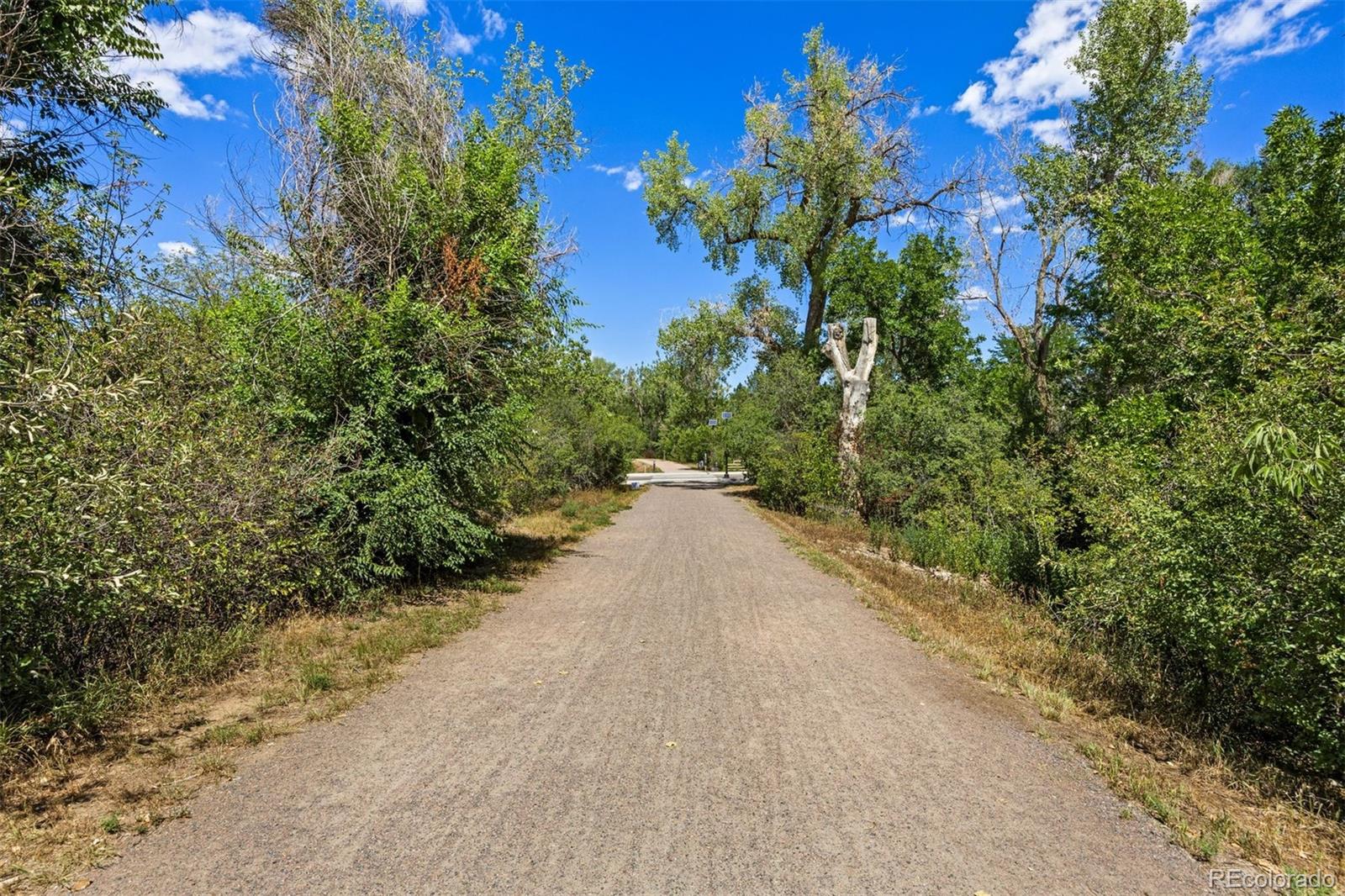 MLS Image #41 for 1854 e lake drive,littleton, Colorado