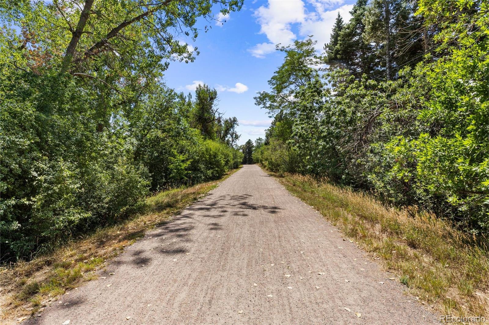 MLS Image #42 for 1854 e lake drive,littleton, Colorado