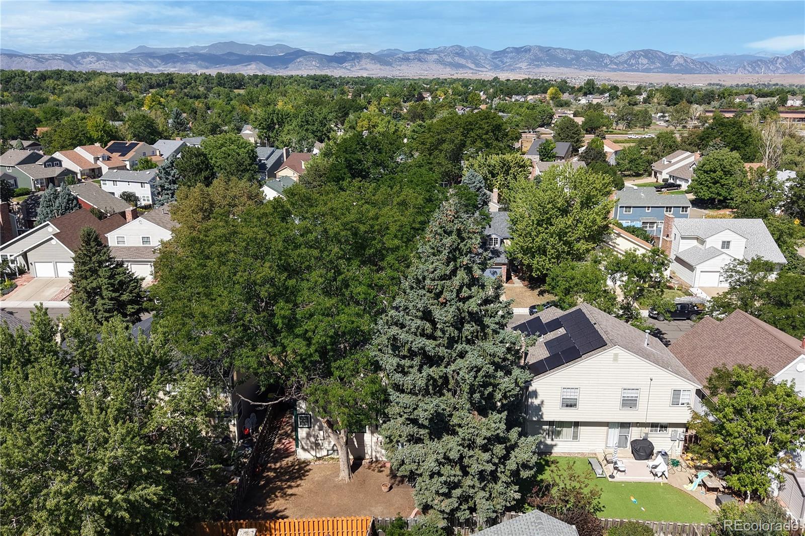 MLS Image #41 for 8276  jellison court,arvada, Colorado