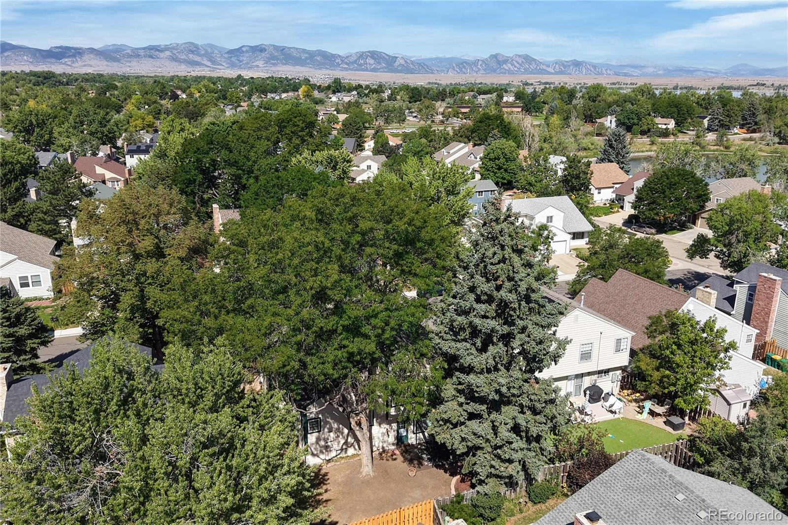MLS Image #42 for 8276  jellison court,arvada, Colorado