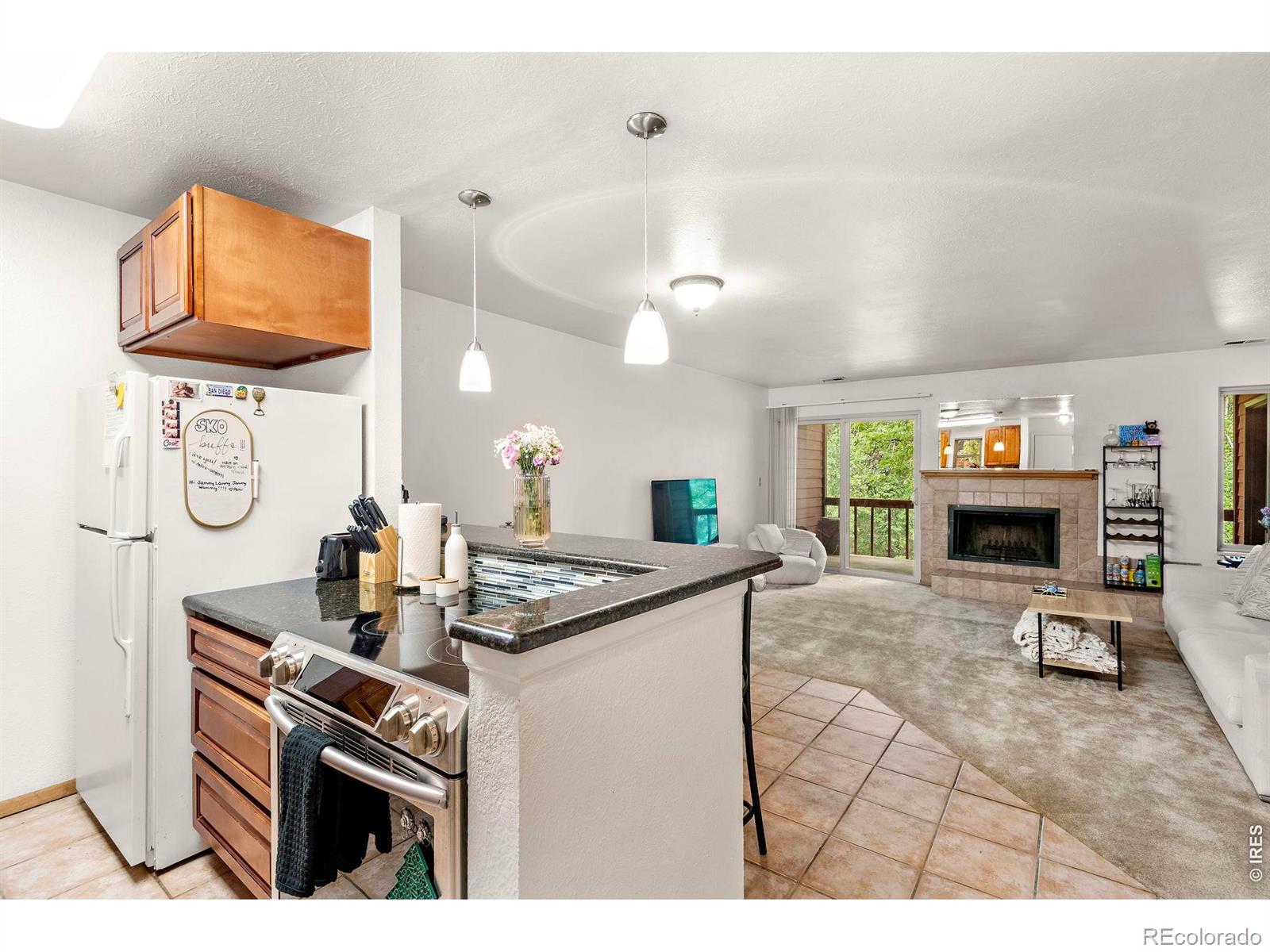MLS Image #6 for 745  arapahoe avenue,boulder, Colorado