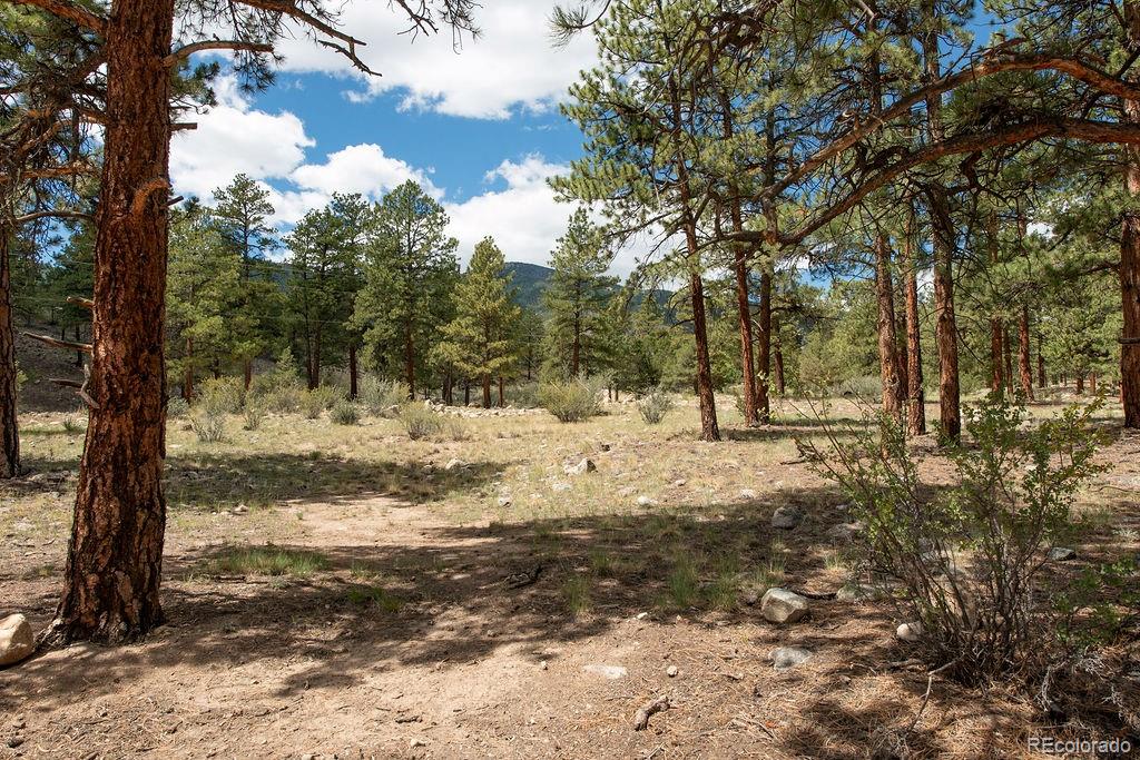 MLS Image #48 for 18095  camino del norte ,buena vista, Colorado