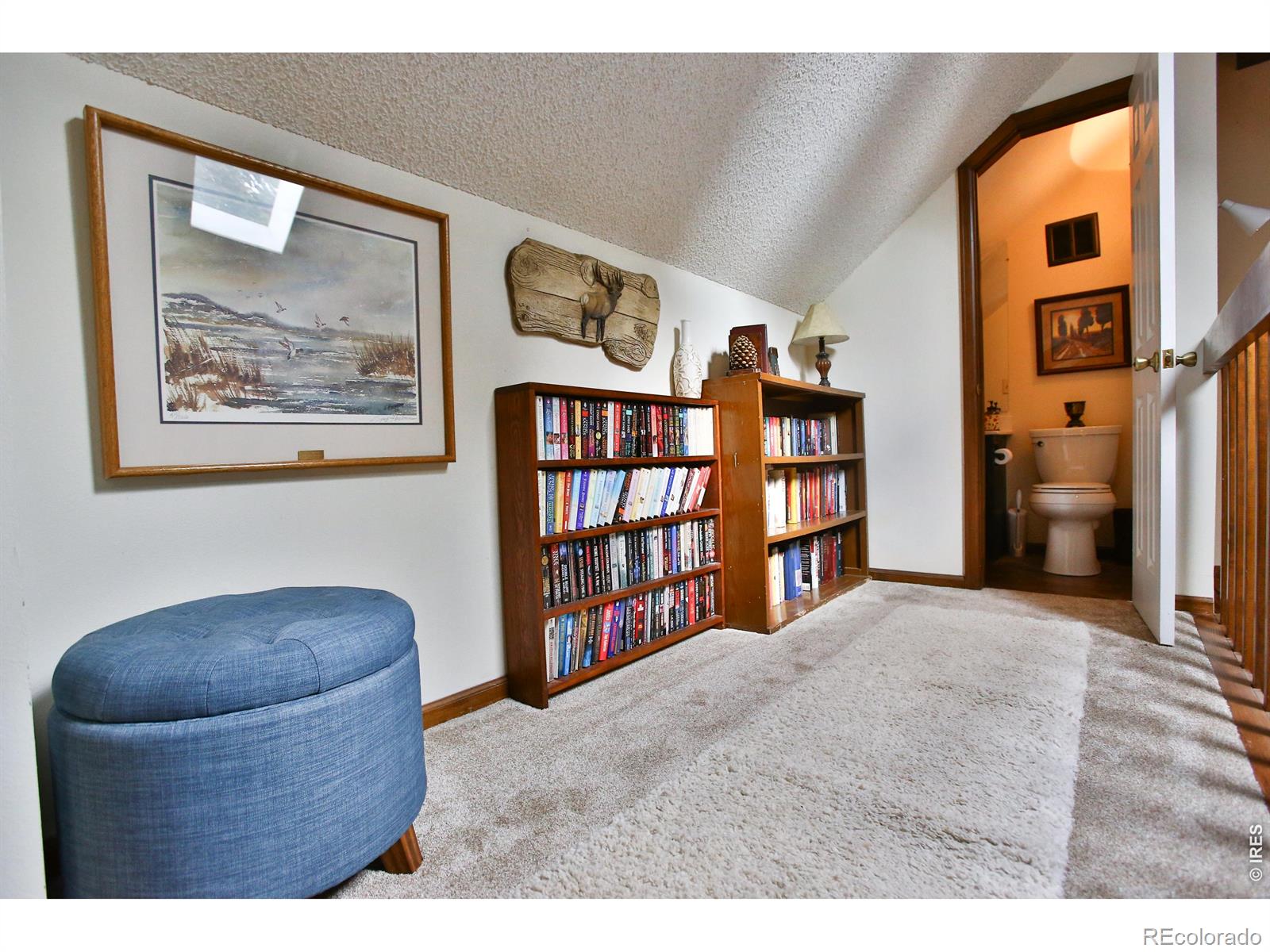 MLS Image #13 for 1370  bellaire street,broomfield, Colorado