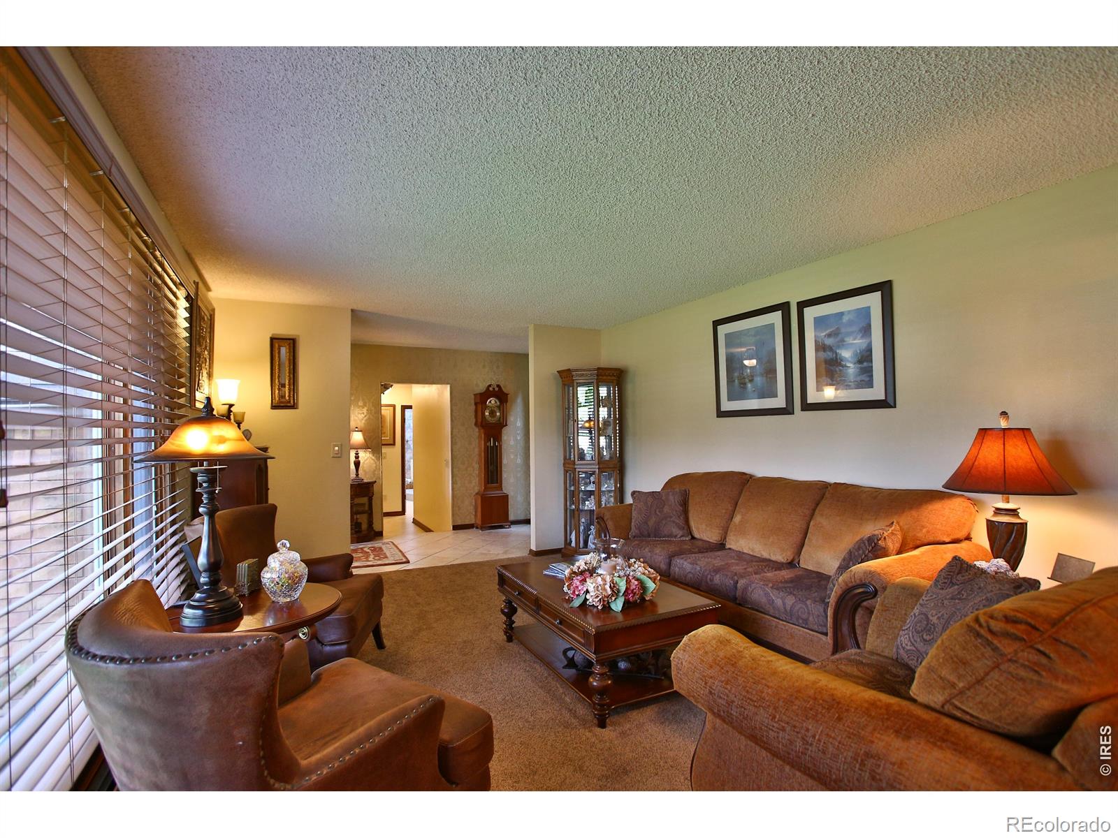 MLS Image #8 for 1370  bellaire street,broomfield, Colorado
