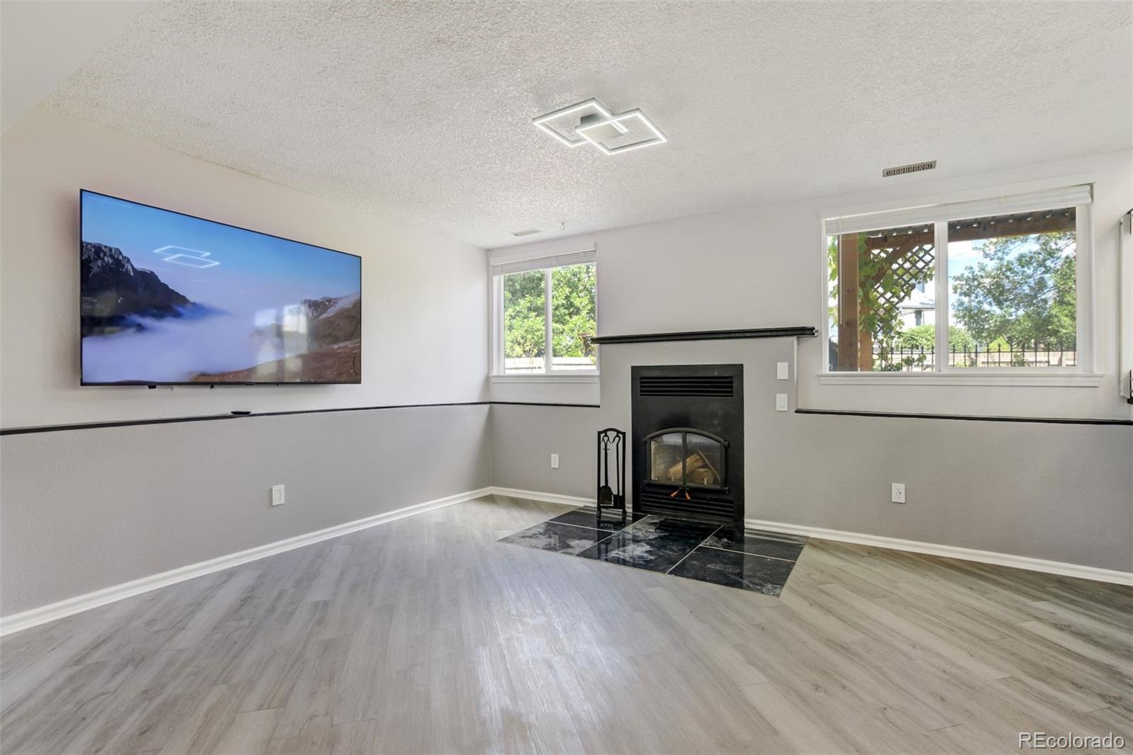 MLS Image #17 for 205  wallace street,colorado springs, Colorado