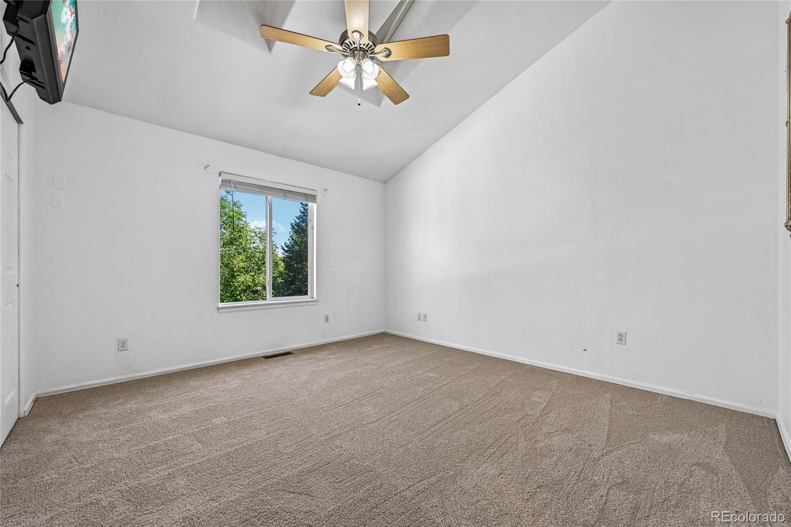MLS Image #21 for 445  mango drive,castle rock, Colorado