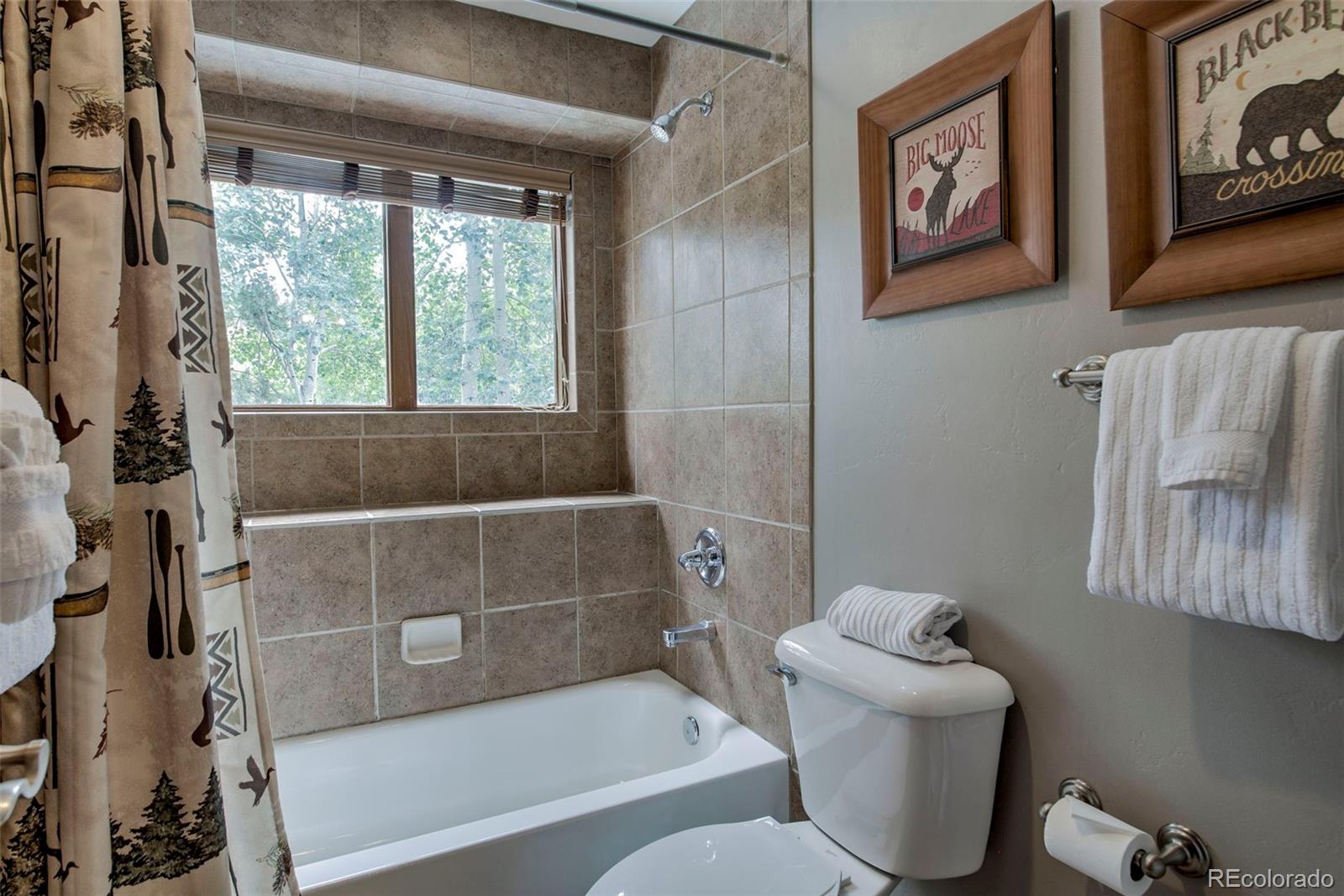 MLS Image #26 for 70  oak lane,breckenridge, Colorado