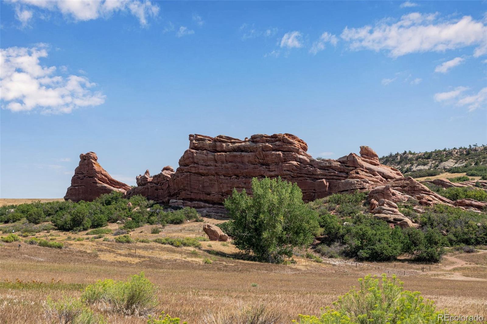MLS Image #10 for 10690 s deer creek road,littleton, Colorado