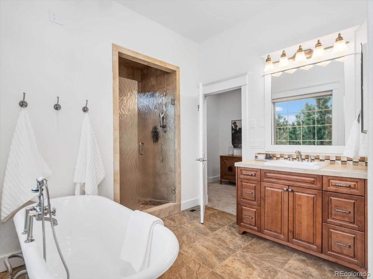 MLS Image #20 for 2643  hawk point court,castle rock, Colorado