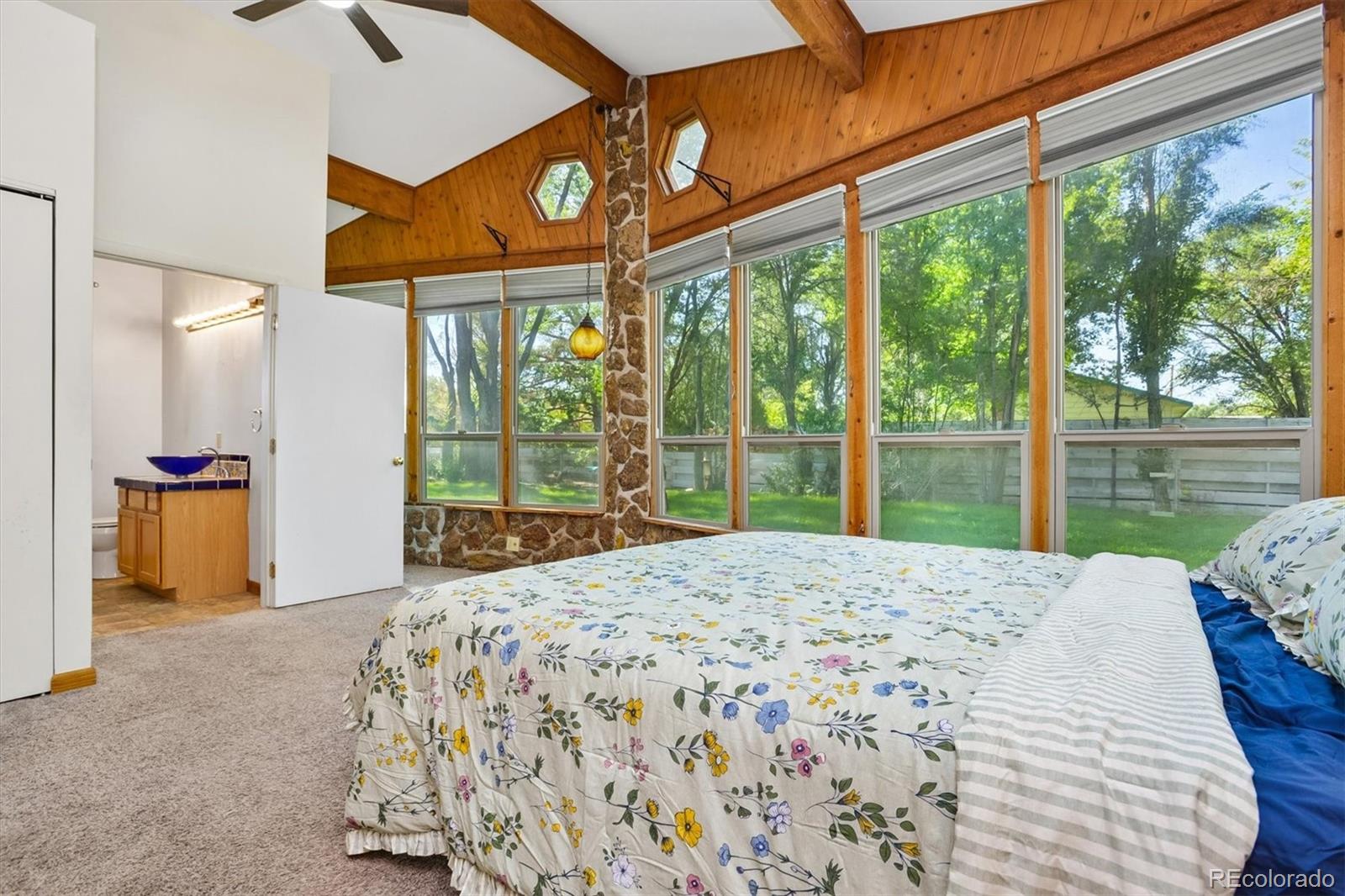 MLS Image #24 for 5131  del viento road,alamosa, Colorado