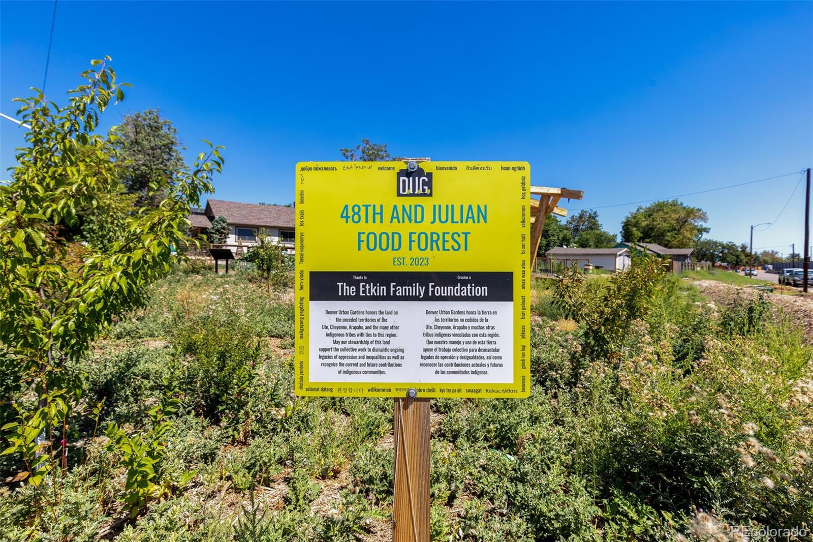 MLS Image #44 for 4850  julian street,denver, Colorado