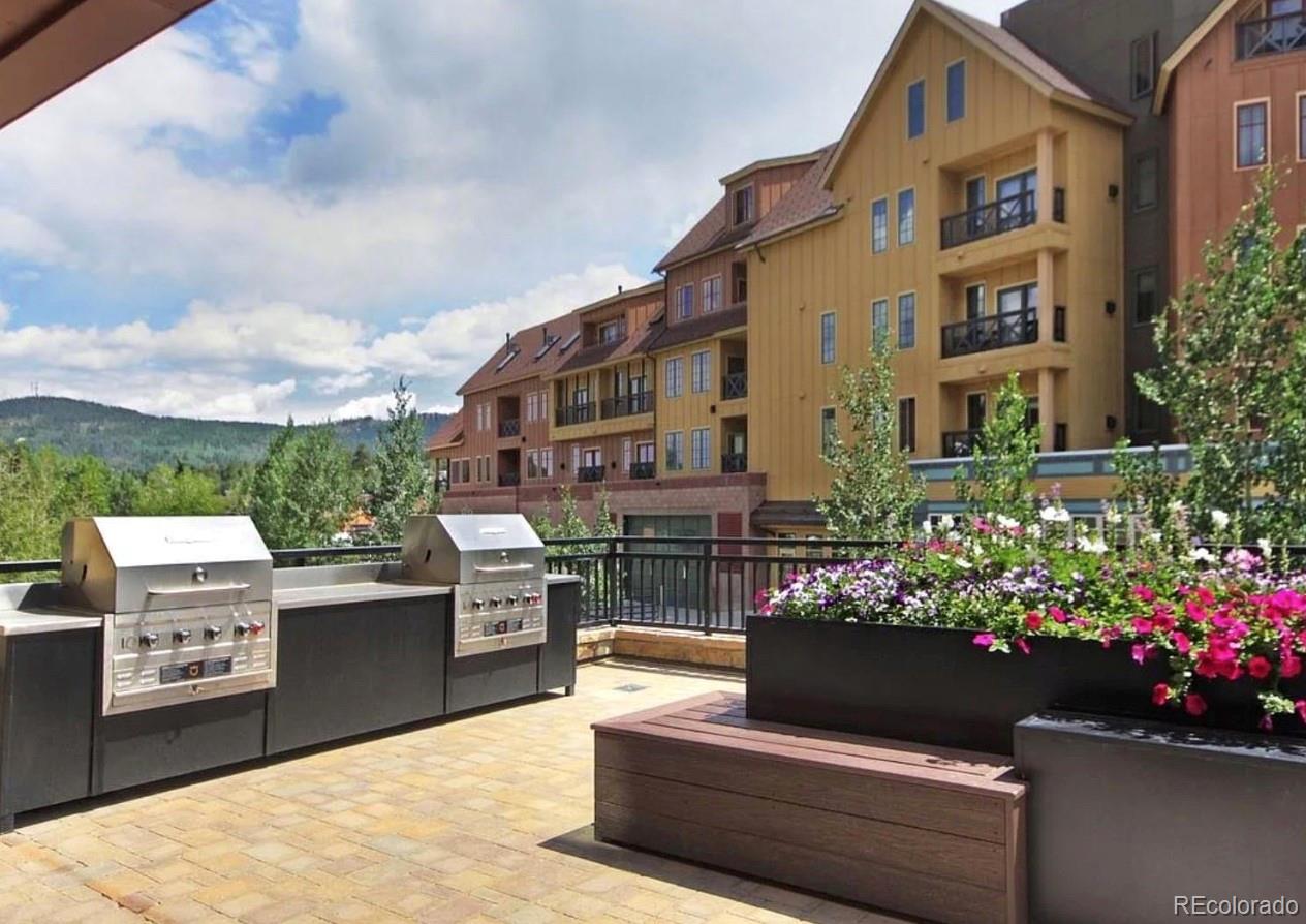 MLS Image #26 for 535 s park avenue,breckenridge, Colorado