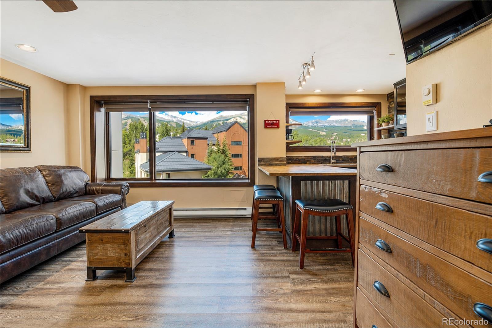 MLS Image #3 for 535 s park avenue,breckenridge, Colorado