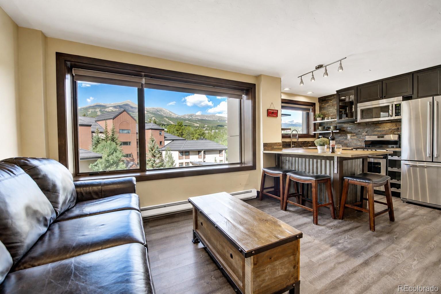 MLS Image #4 for 535 s park avenue,breckenridge, Colorado