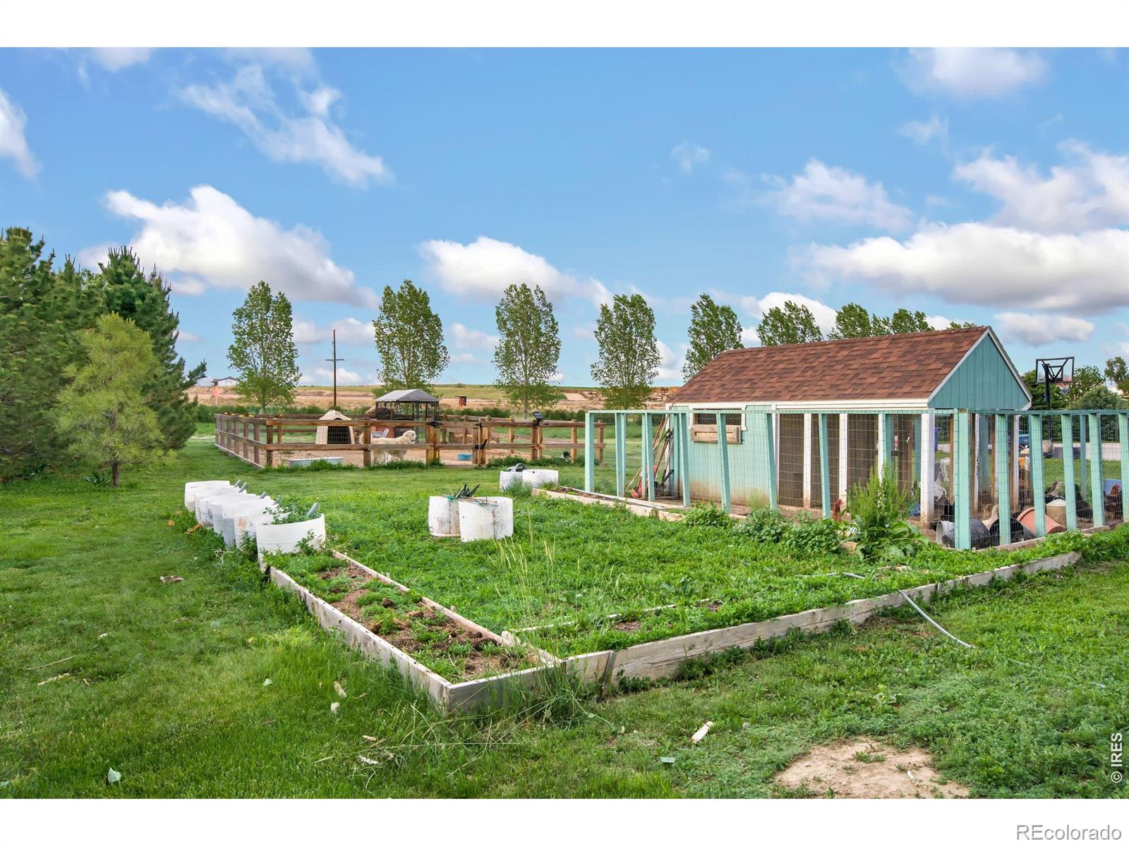 MLS Image #12 for 7182  lakota lakes road,johnstown, Colorado