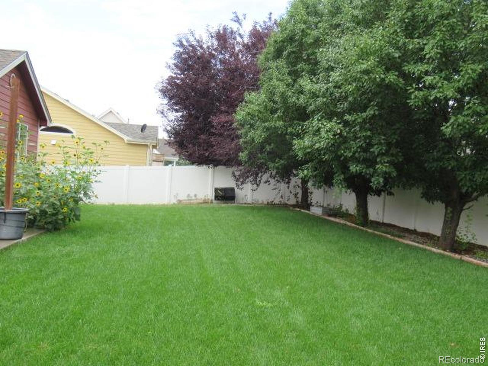 MLS Image #5 for 3946  mount oxford street,wellington, Colorado