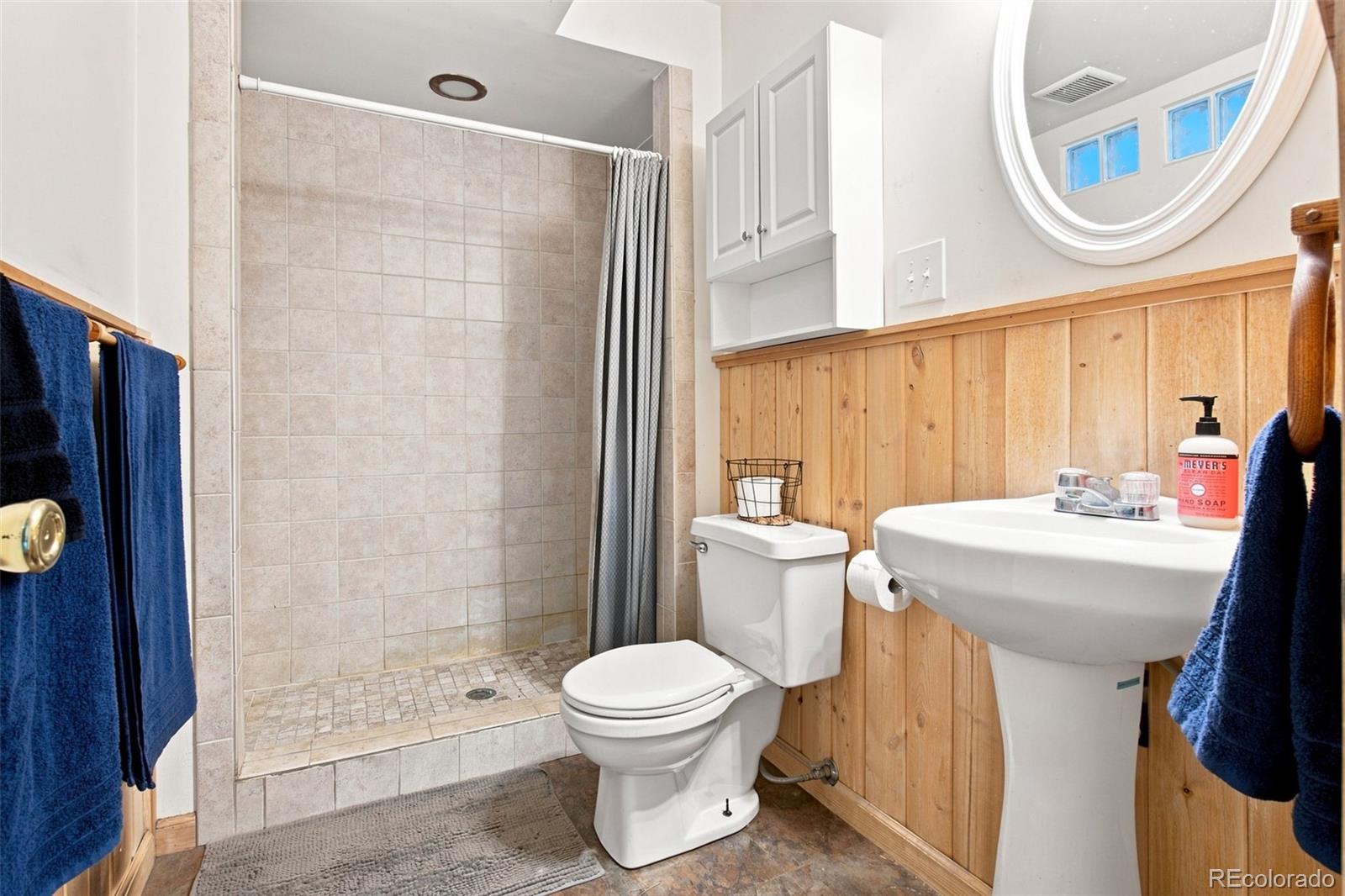 MLS Image #14 for 173  wisp creek drive,bailey, Colorado