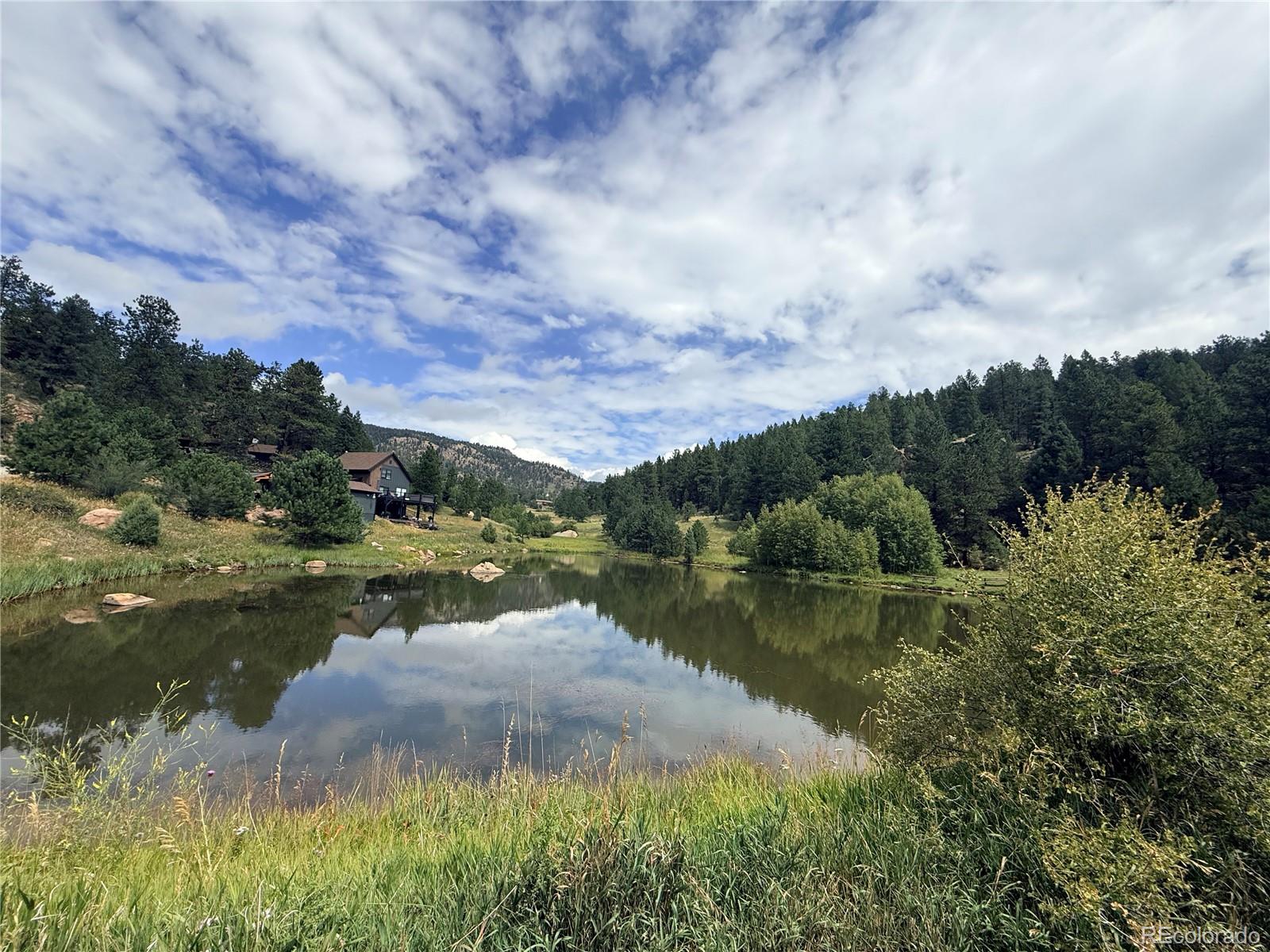 MLS Image #43 for 173  wisp creek drive,bailey, Colorado