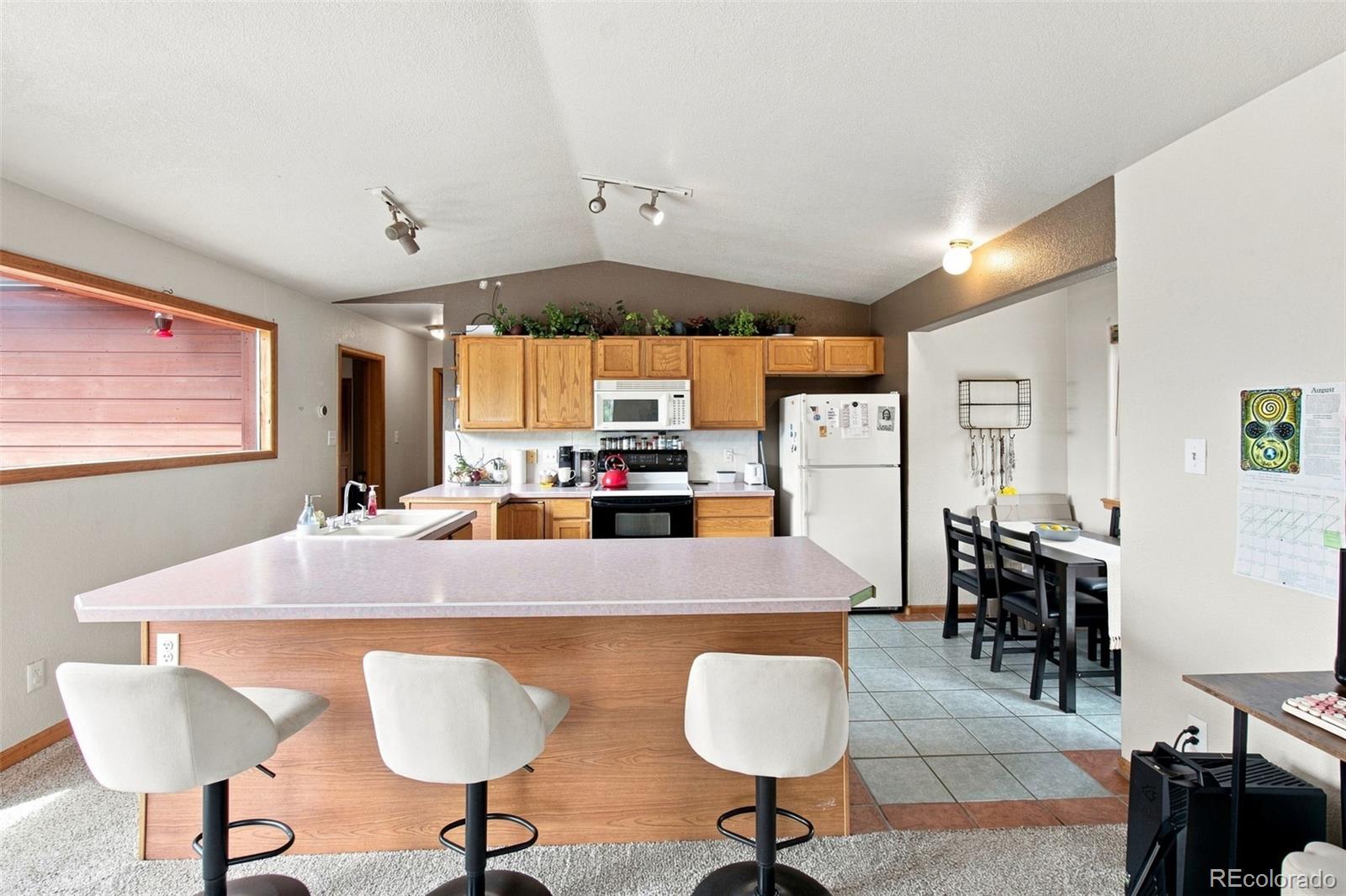 MLS Image #6 for 173  wisp creek drive,bailey, Colorado