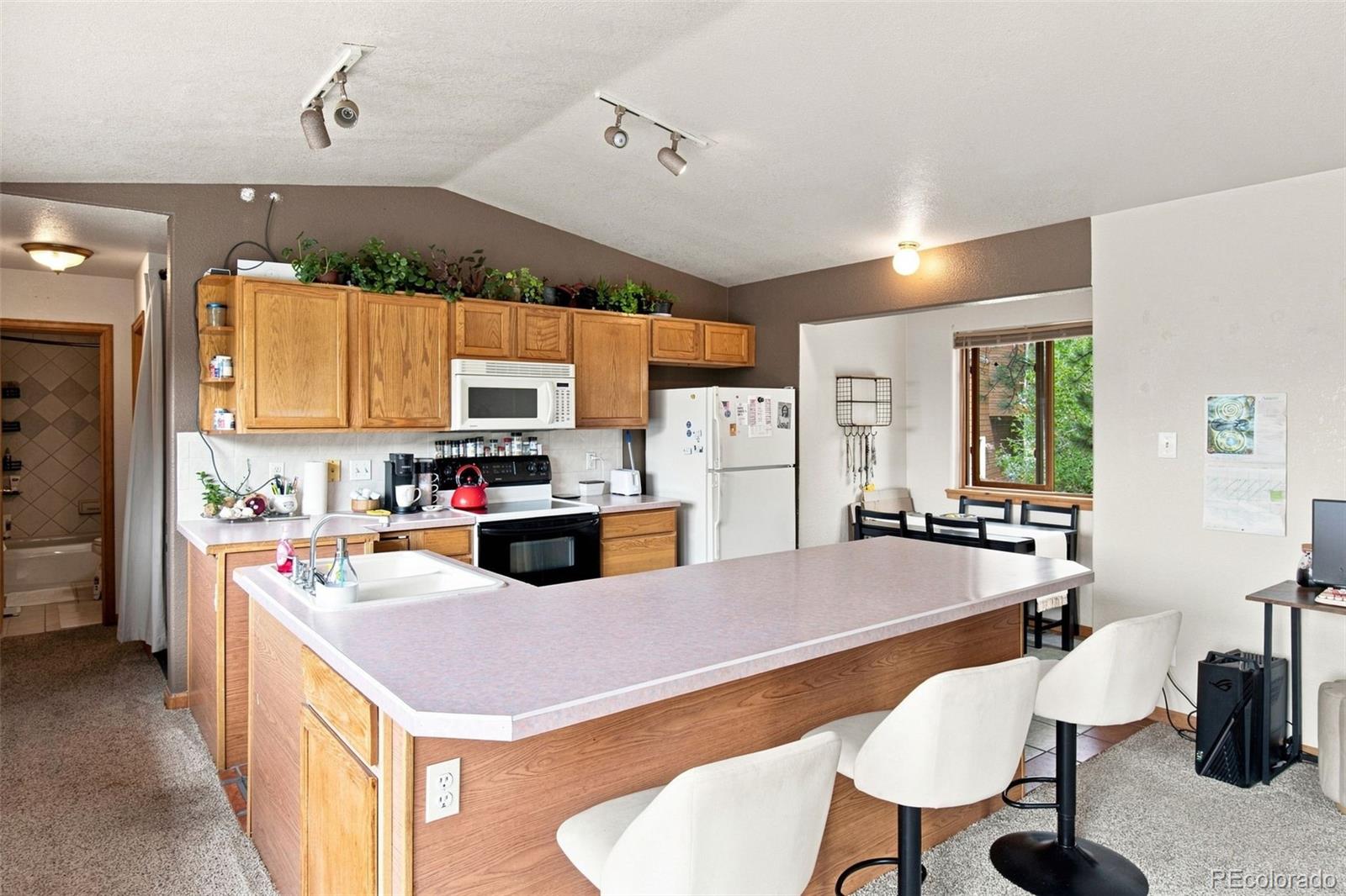 MLS Image #7 for 173  wisp creek drive,bailey, Colorado