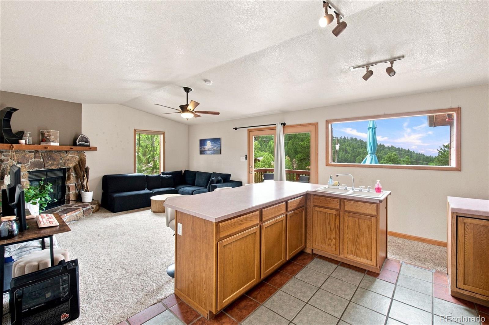 MLS Image #8 for 173  wisp creek drive,bailey, Colorado