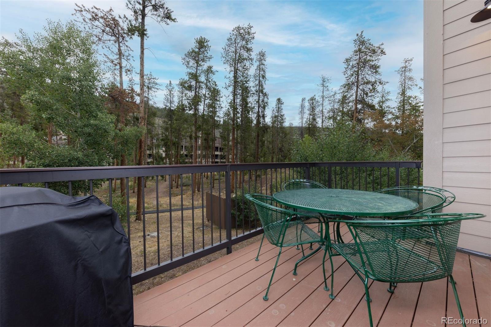 MLS Image #13 for 210  tennis club road,dillon, Colorado