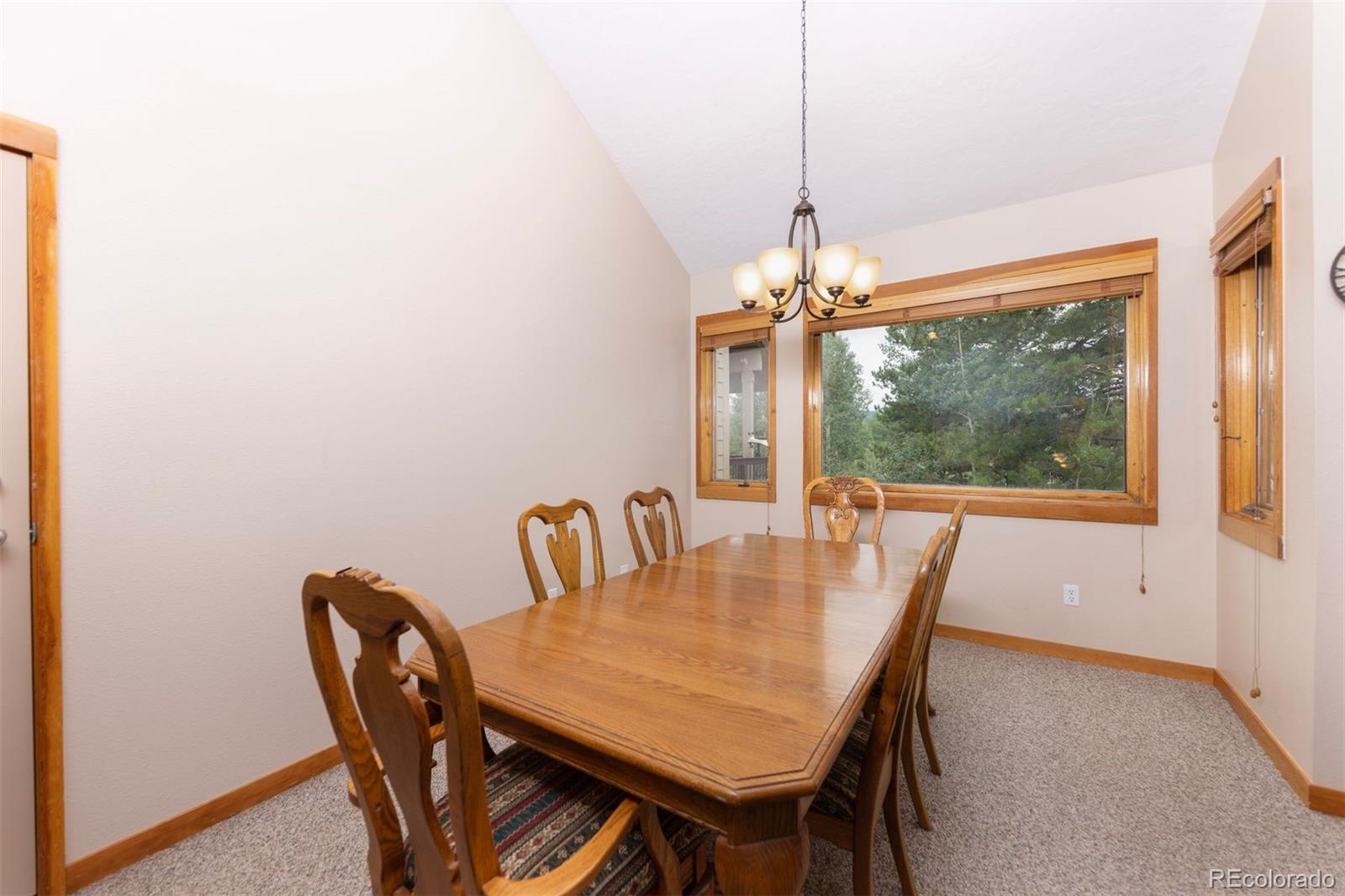 MLS Image #8 for 210  tennis club road,dillon, Colorado