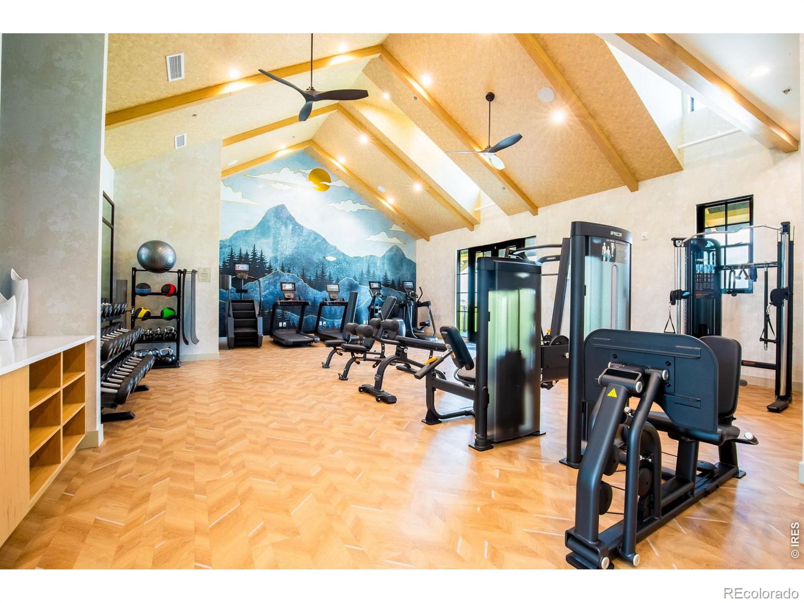 MLS Image #40 for 1792  willow drive,erie, Colorado