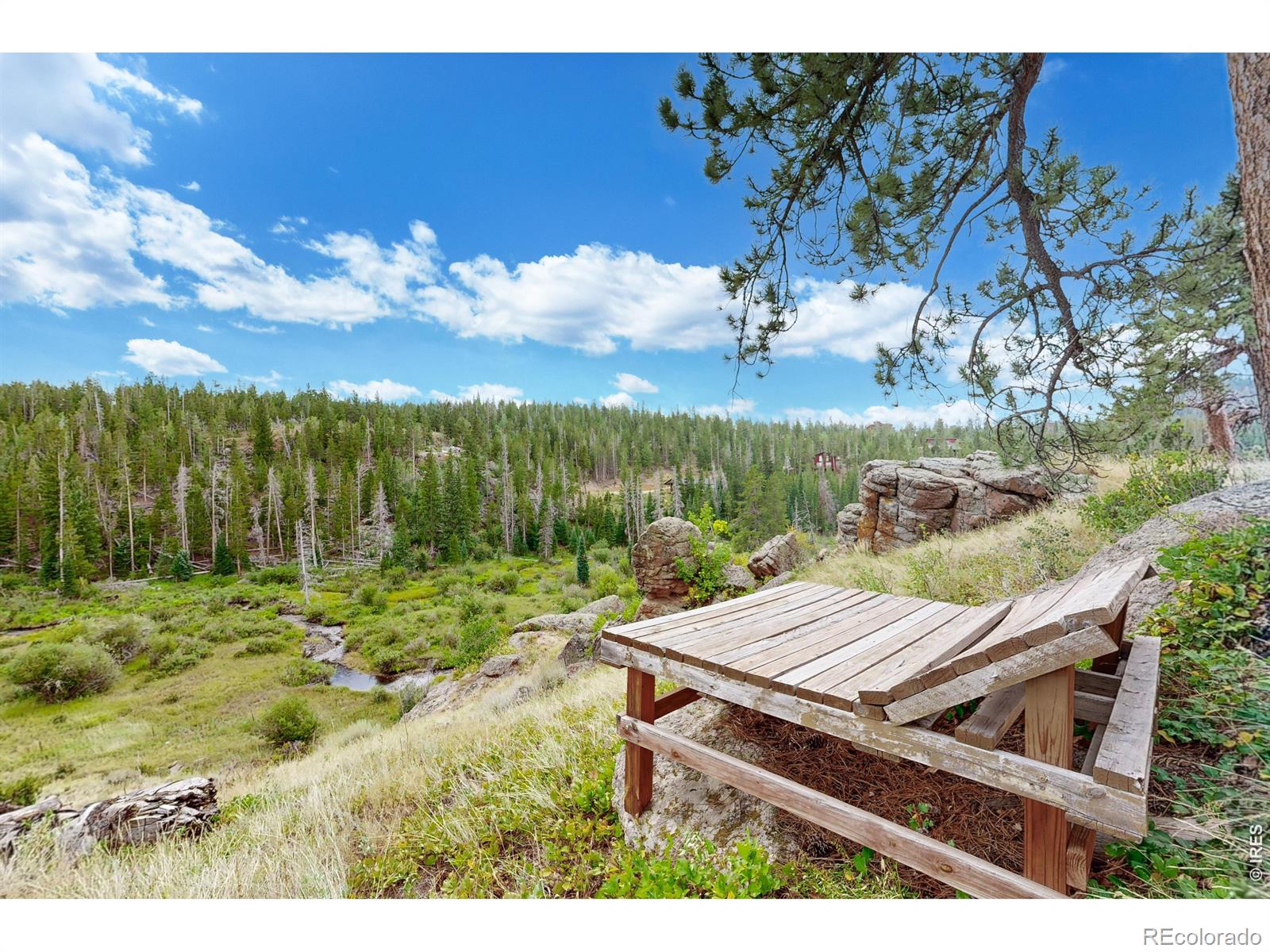 MLS Image #23 for 242  chippewa way,red feather lakes, Colorado