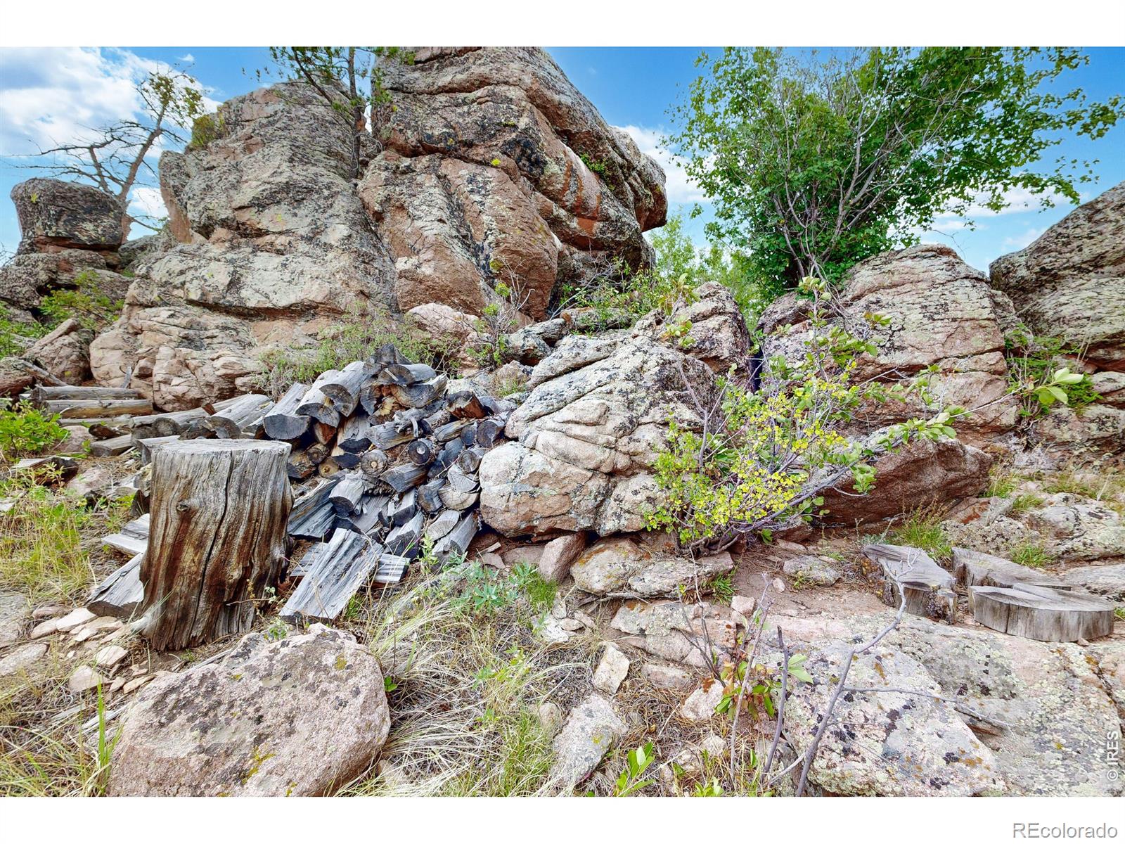 MLS Image #25 for 242  chippewa way,red feather lakes, Colorado