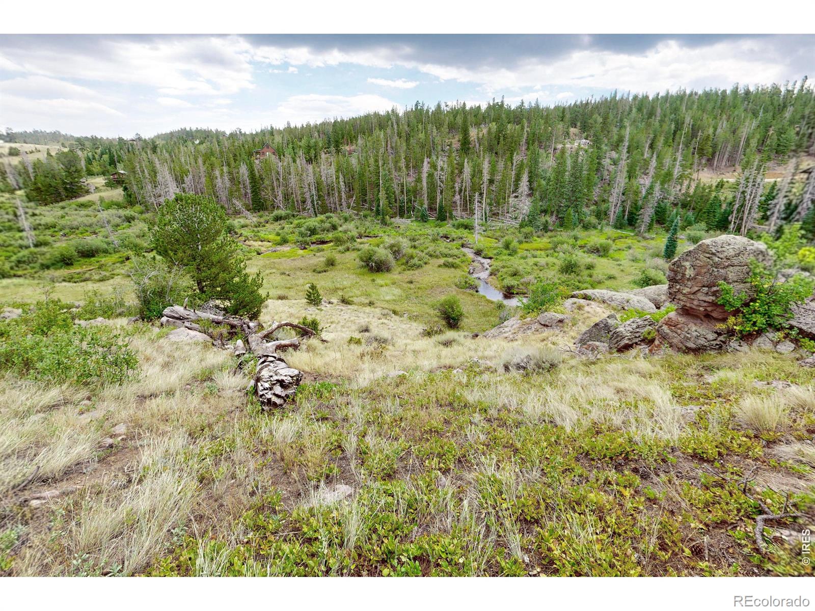 MLS Image #27 for 242  chippewa way,red feather lakes, Colorado