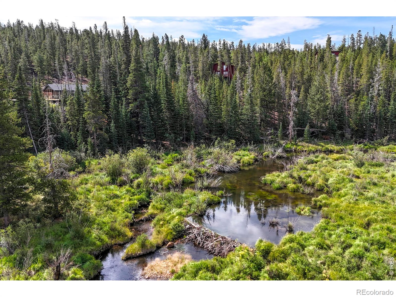 MLS Image #34 for 242  chippewa way,red feather lakes, Colorado