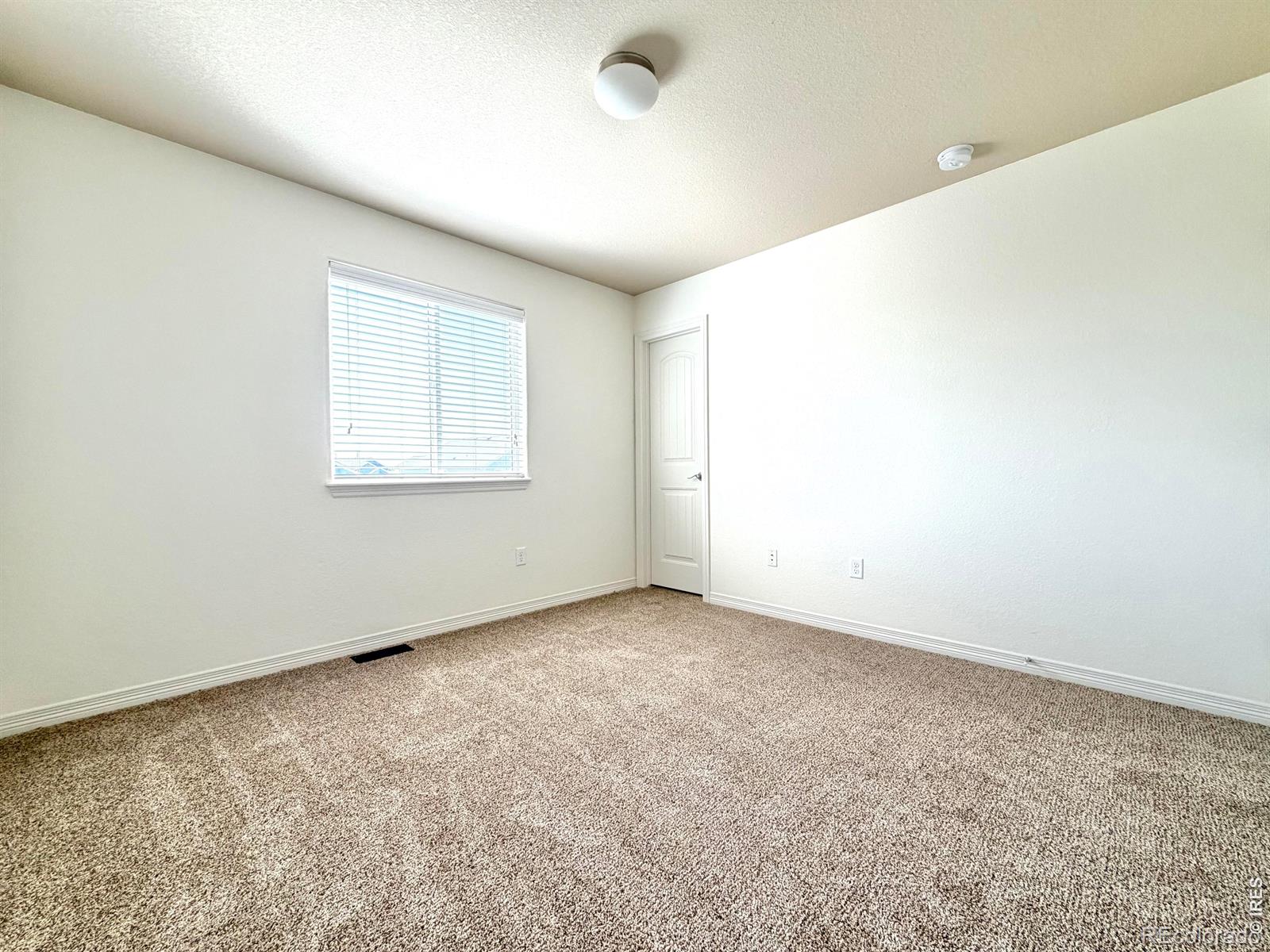 MLS Image #15 for 5755  clarence drive,windsor, Colorado
