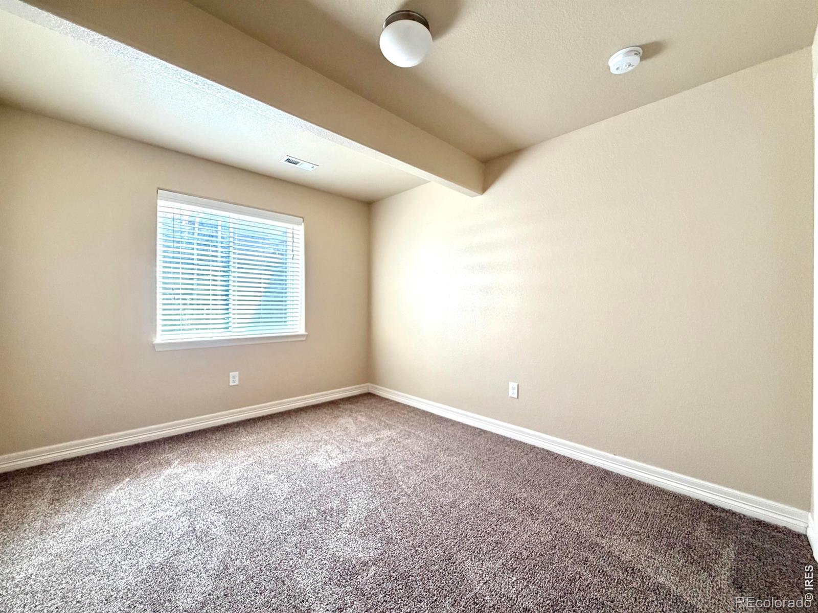 MLS Image #21 for 5755  clarence drive,windsor, Colorado