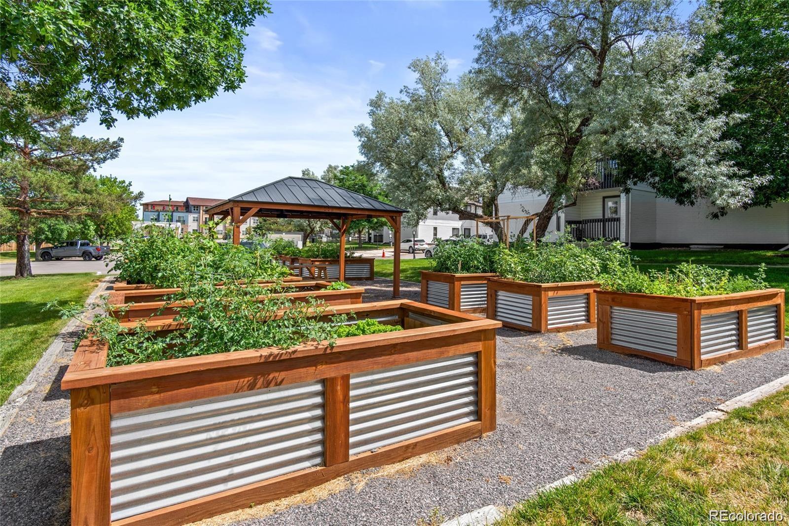 MLS Image #17 for 532  oakwood drive,castle rock, Colorado