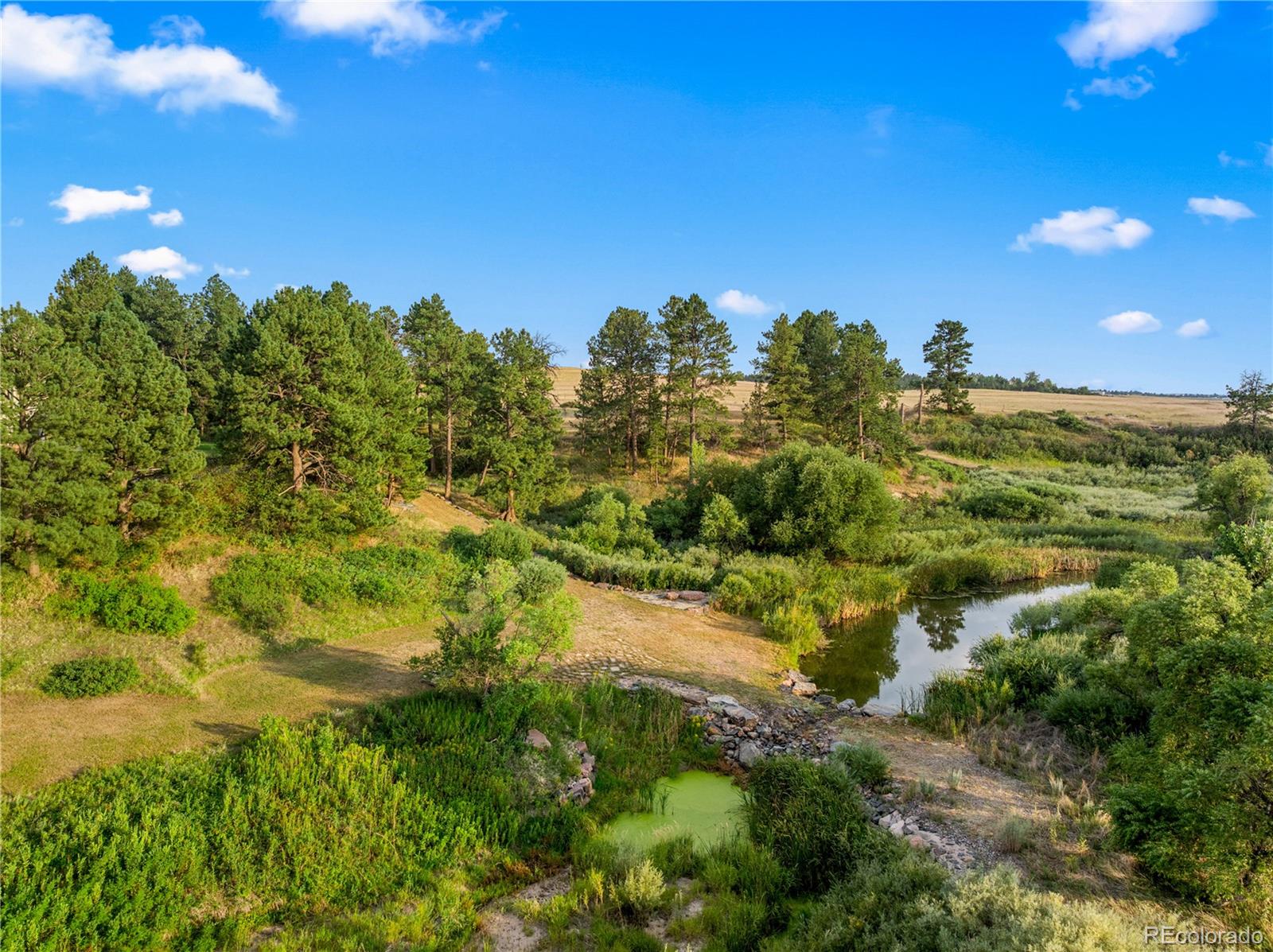 MLS Image #48 for 39848  swift creek circle,elizabeth, Colorado