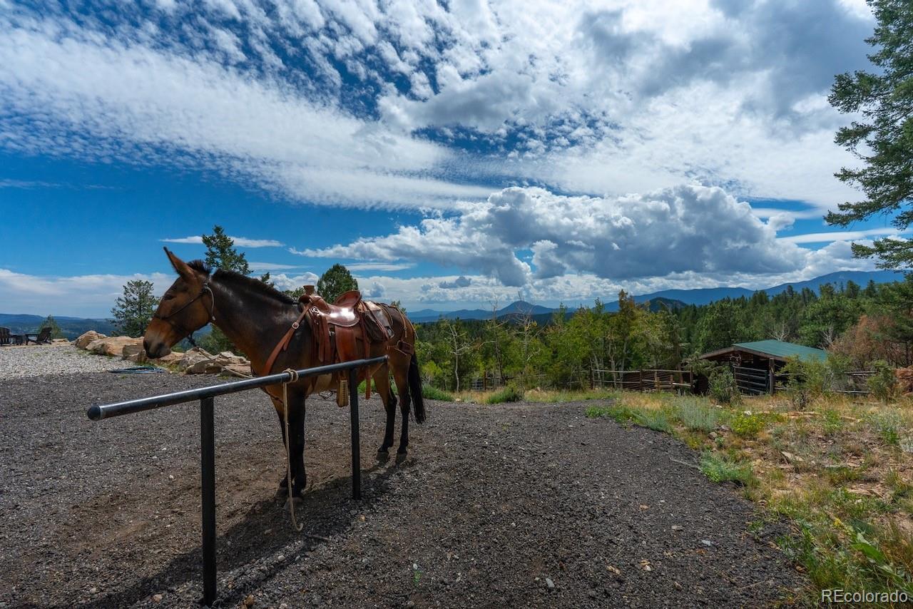 MLS Image #29 for 150  summit drive,bailey, Colorado